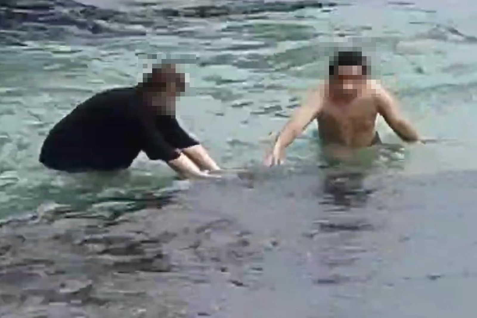 手賤代價超大!小琉球遊客「推海龜」當場被逮 最高重罰30萬