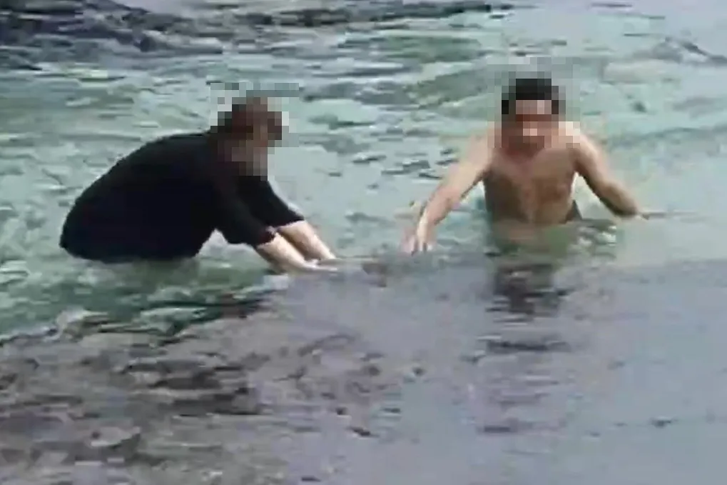 小琉球海龜復育有成，卻頻遭遊客「伸手騷擾」。（海巡署提供）