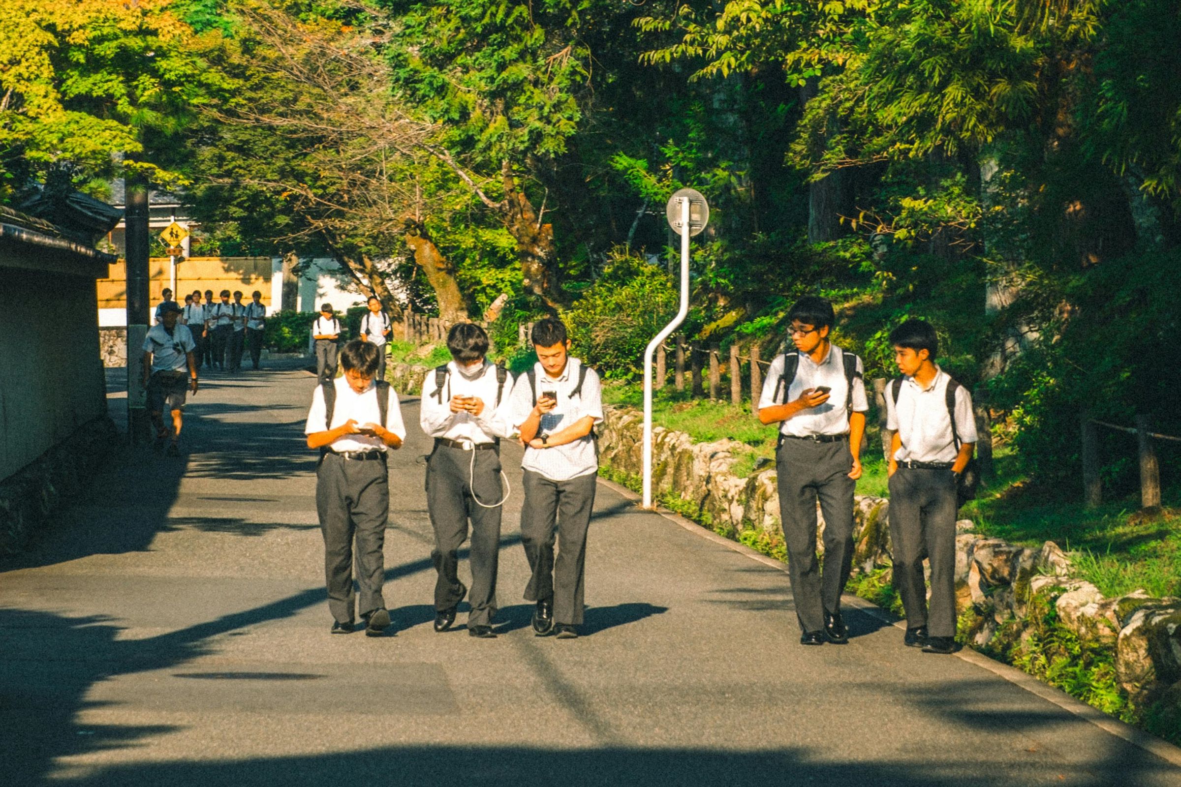 日本學者研究警告，過度使用手機會對學力和腦部發育造成嚴重影響。圖非當事人（pexels提供）
