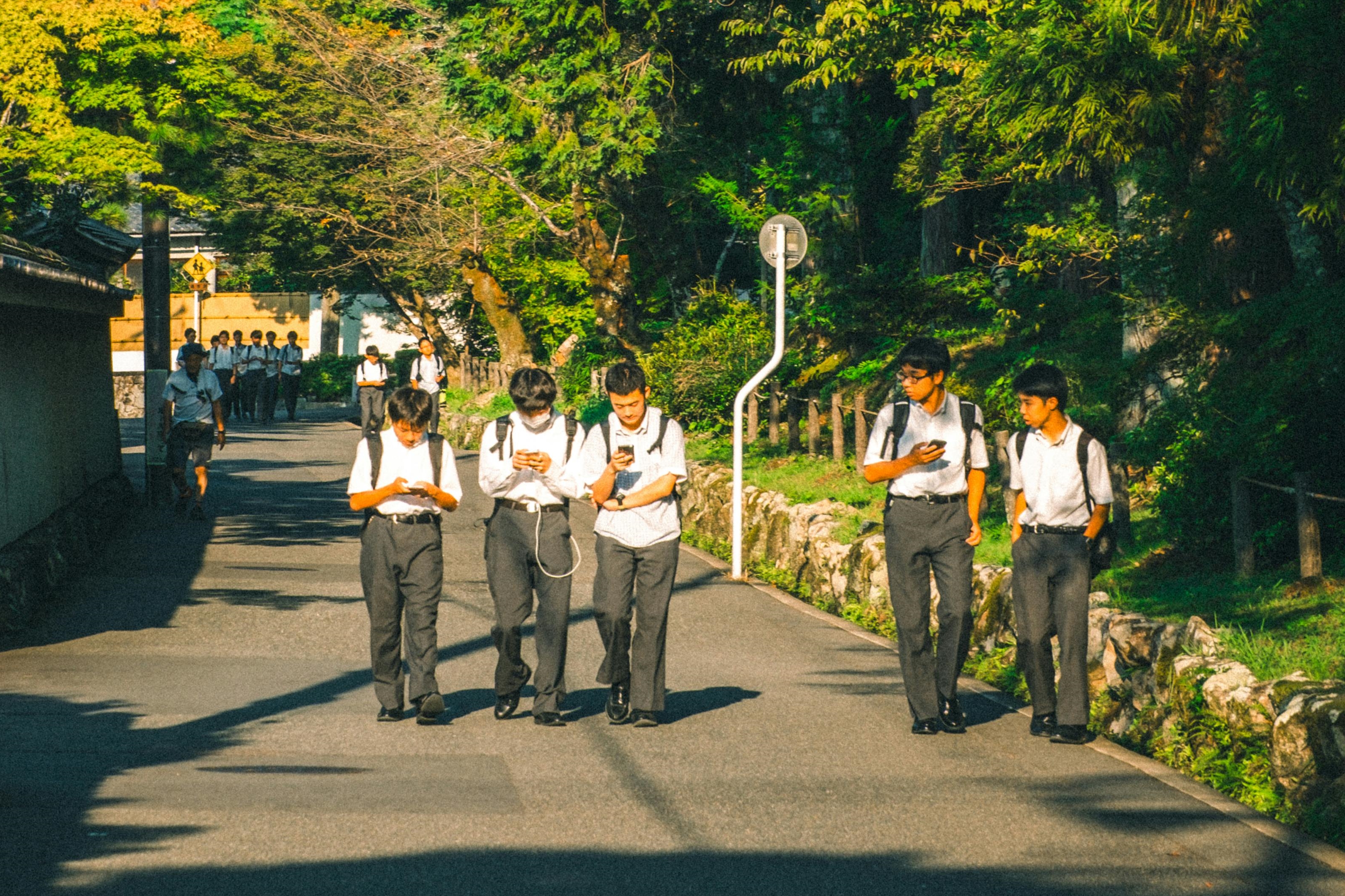 日本學者研究警告,過度使用手機會對學力和腦部發育造成嚴重影響。圖非當事人(pexels提供)