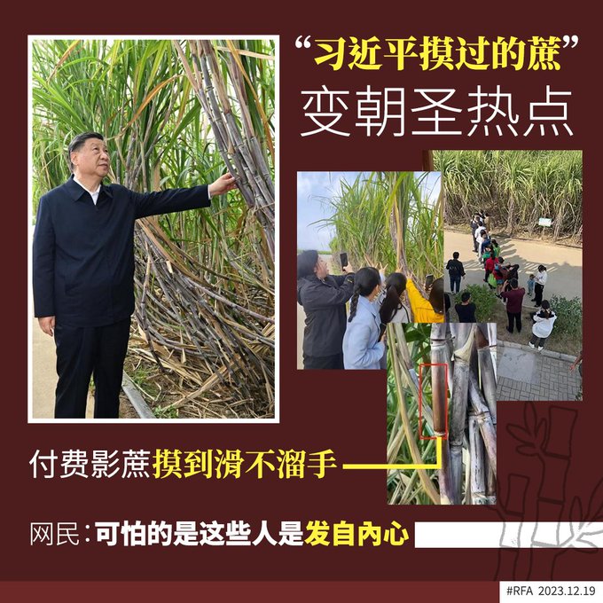 至少有數百人來排隊摸摸「習近平甘蔗」或合影，認為「有摸有保佑」。（翻自X平台）