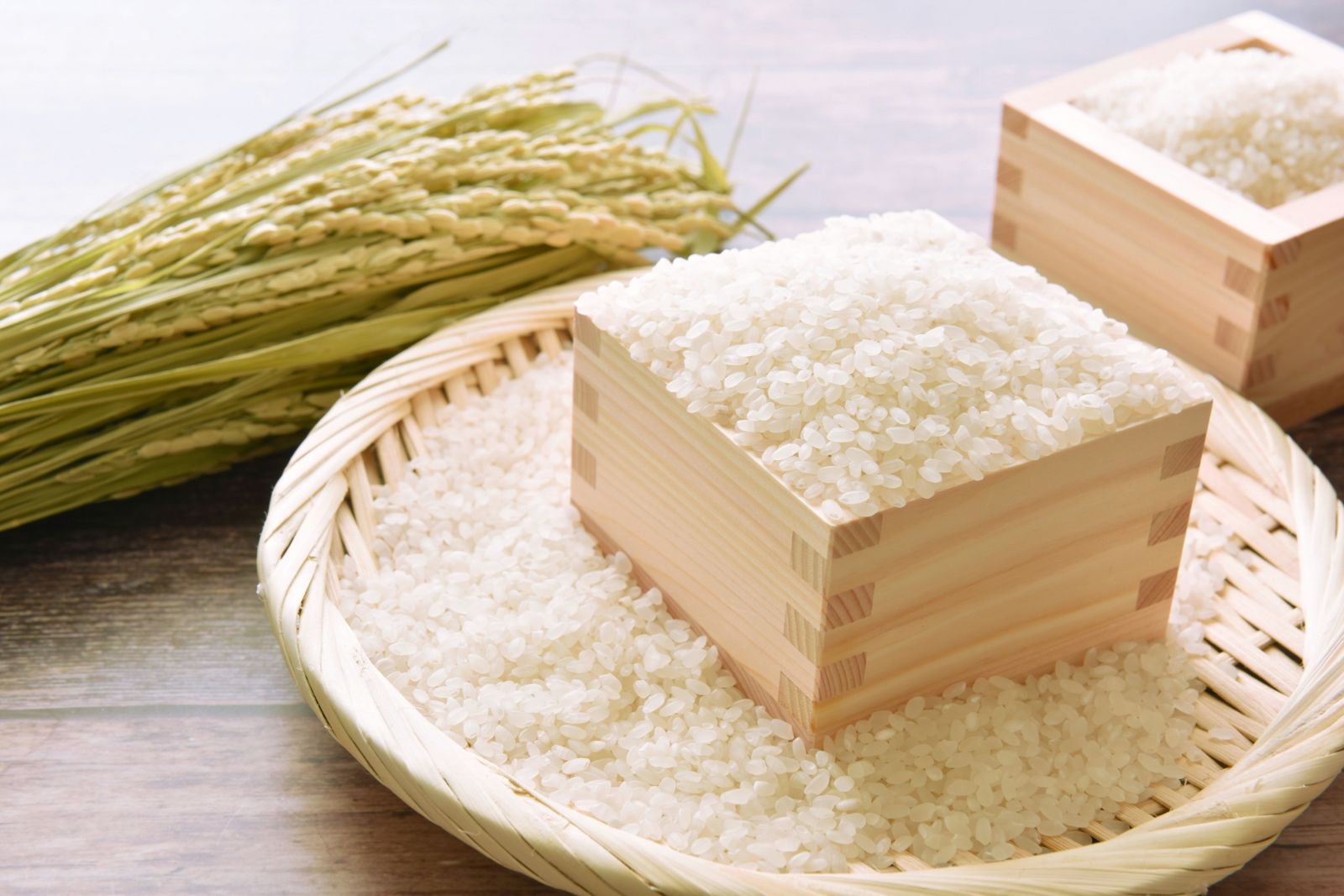 300萬人朝聖!日本稻農最強「省錢儲米法」 網讚:用過不再長米蟲