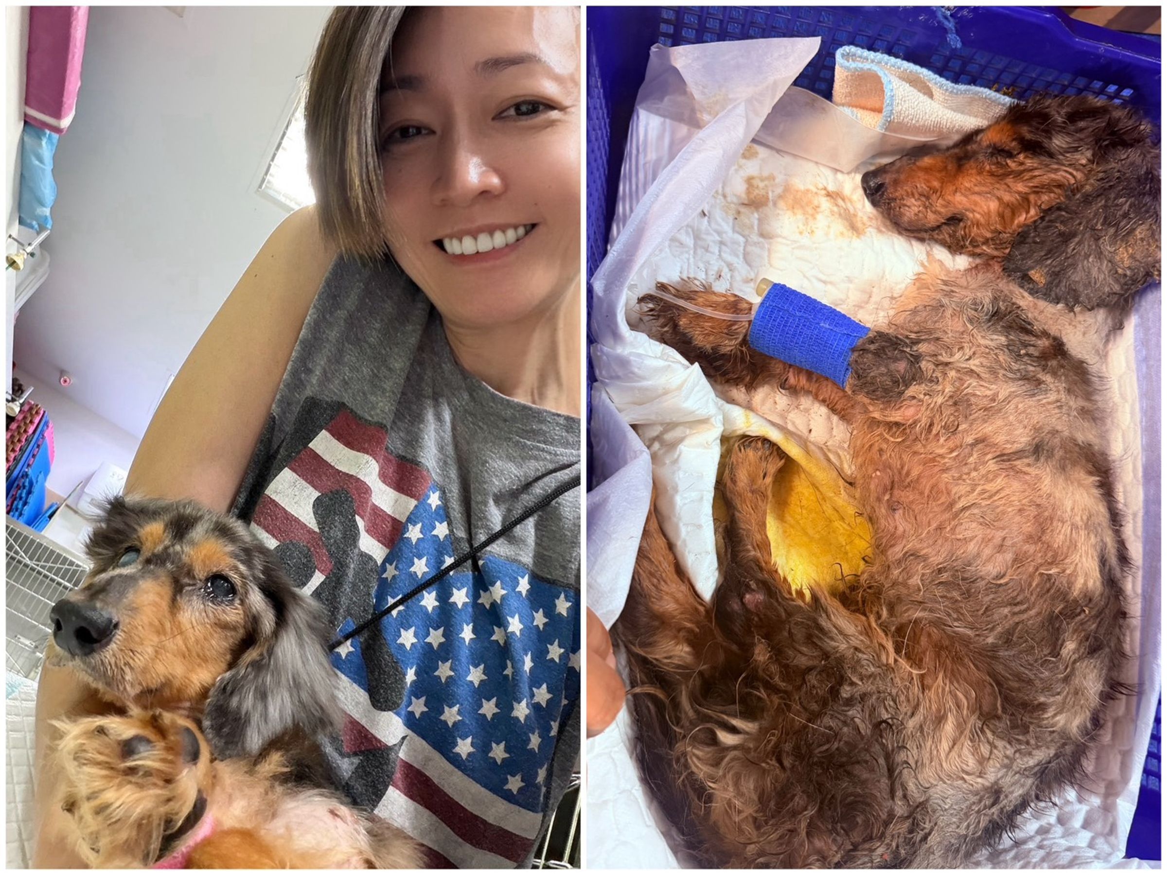 潘慧如救援遭遺棄的老犬福氣,經過三天思考後決定領養牠。