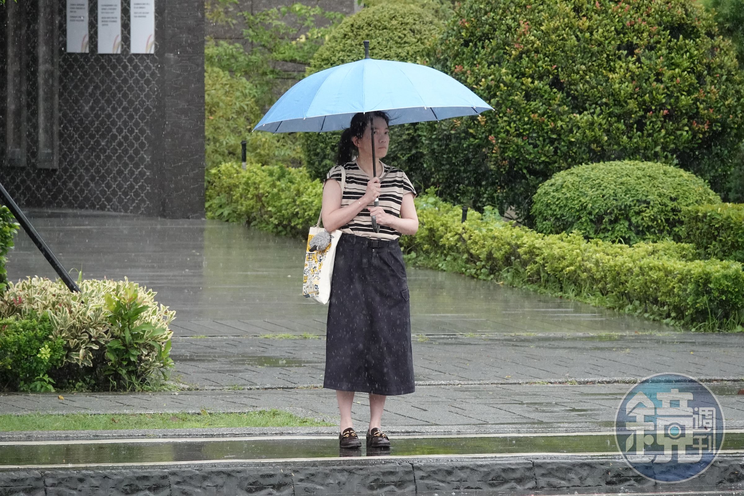 被趙建銘給壓力，陳致中擔心姊姊陳幸妤（圖）心裡會生病。（本刊資料照）