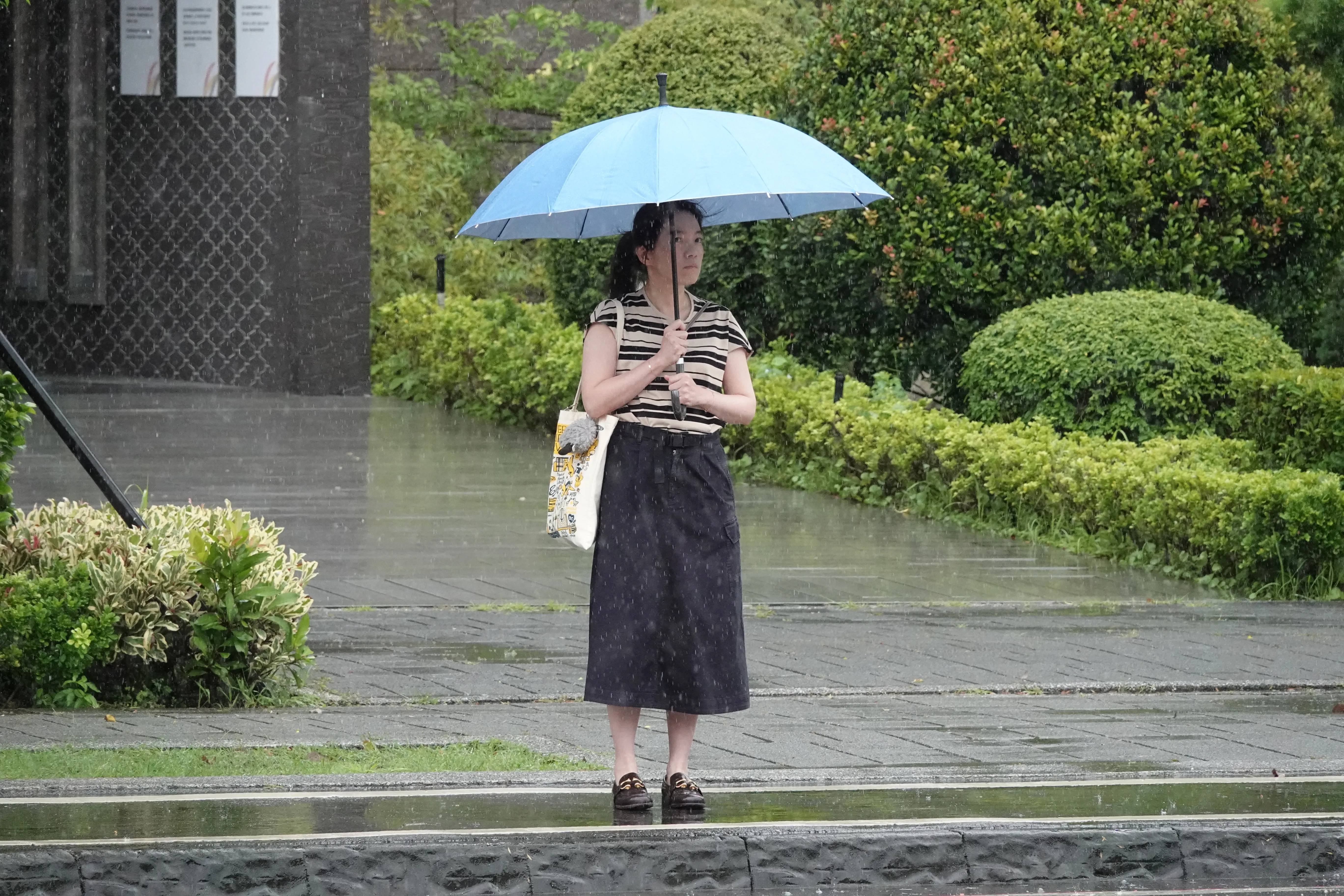 被趙建銘給壓力，陳致中擔心姊姊陳幸妤（圖）心裡會生病。（本刊資料照）