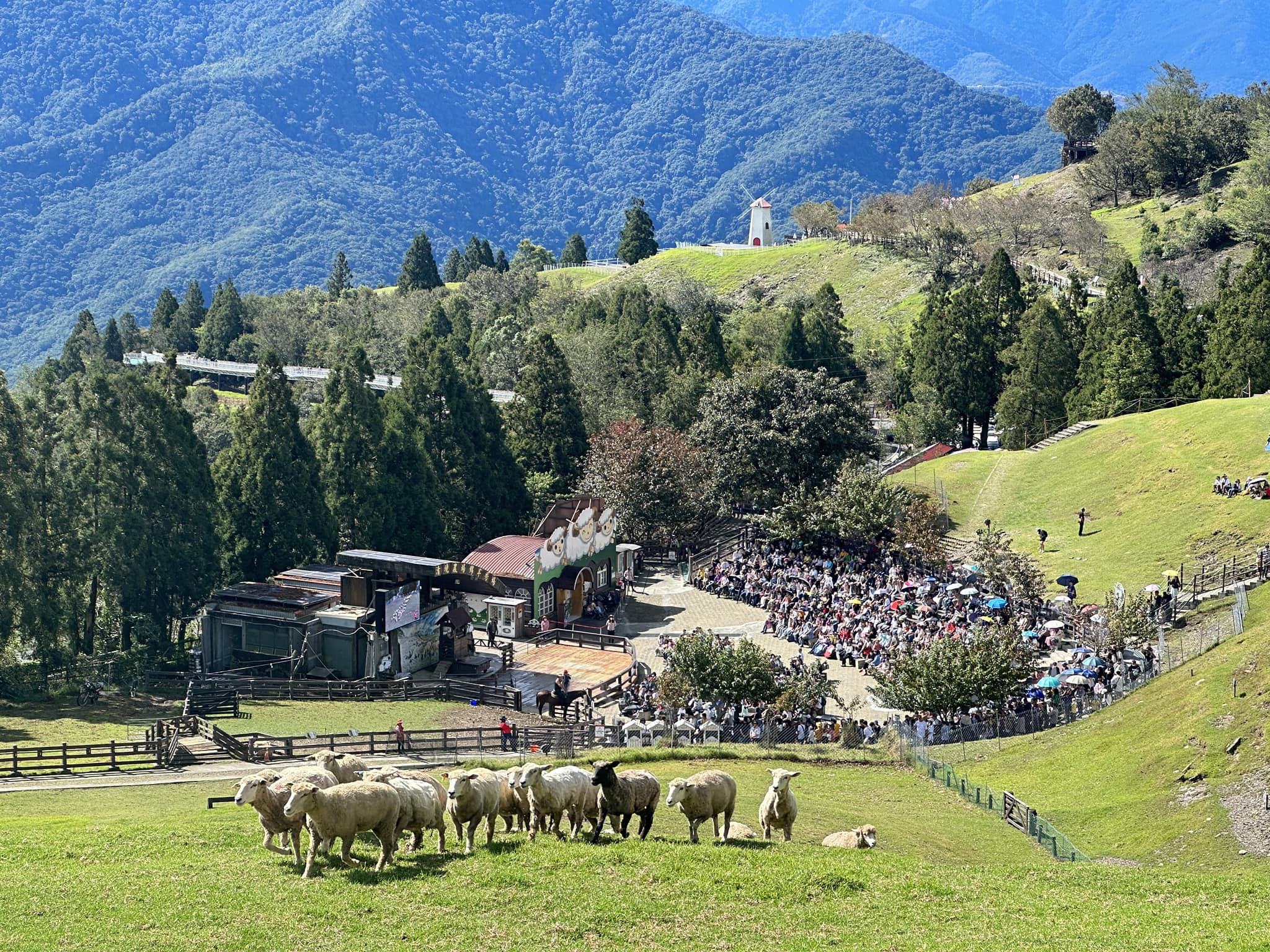 清境農場到了假日遊客絡繹不絕，但遊客中心前的大型停車場時常一位難求。（翻攝清境農場 Qingjing Farm臉書）