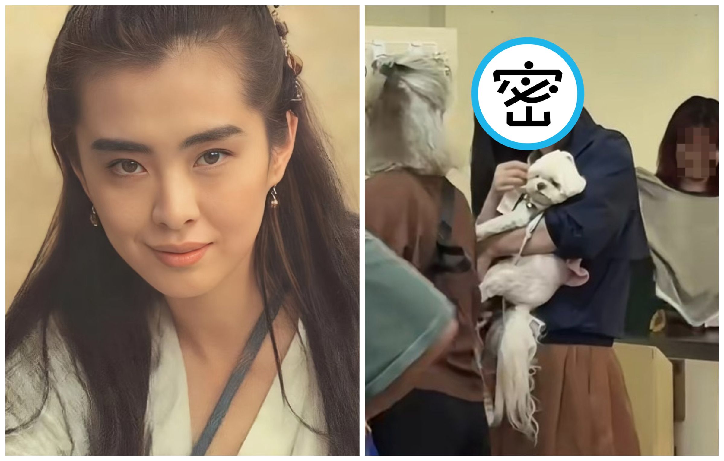 王祖賢又在路上被民眾野生捕獲。（翻攝小紅書）