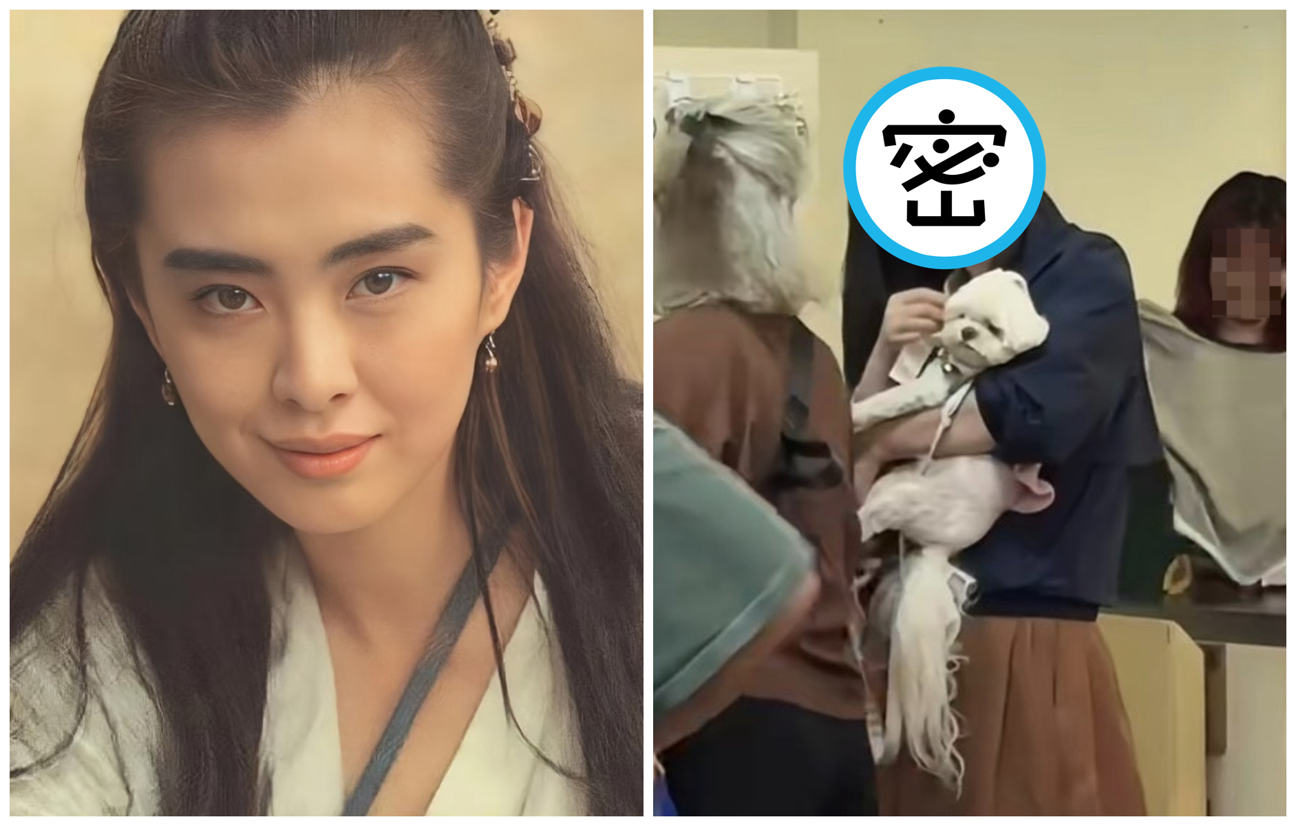 王祖賢又在路上被民眾野生捕獲。（翻攝小紅書）