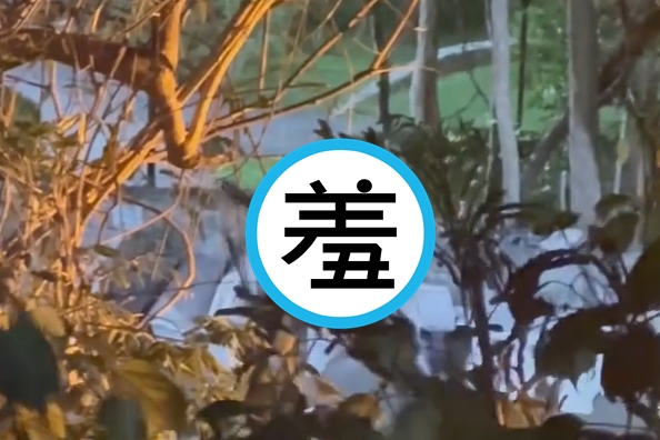 泰國社群媒體上瘋傳一段露骨影片,1對男女公園玩野戰。(翻攝畫面)