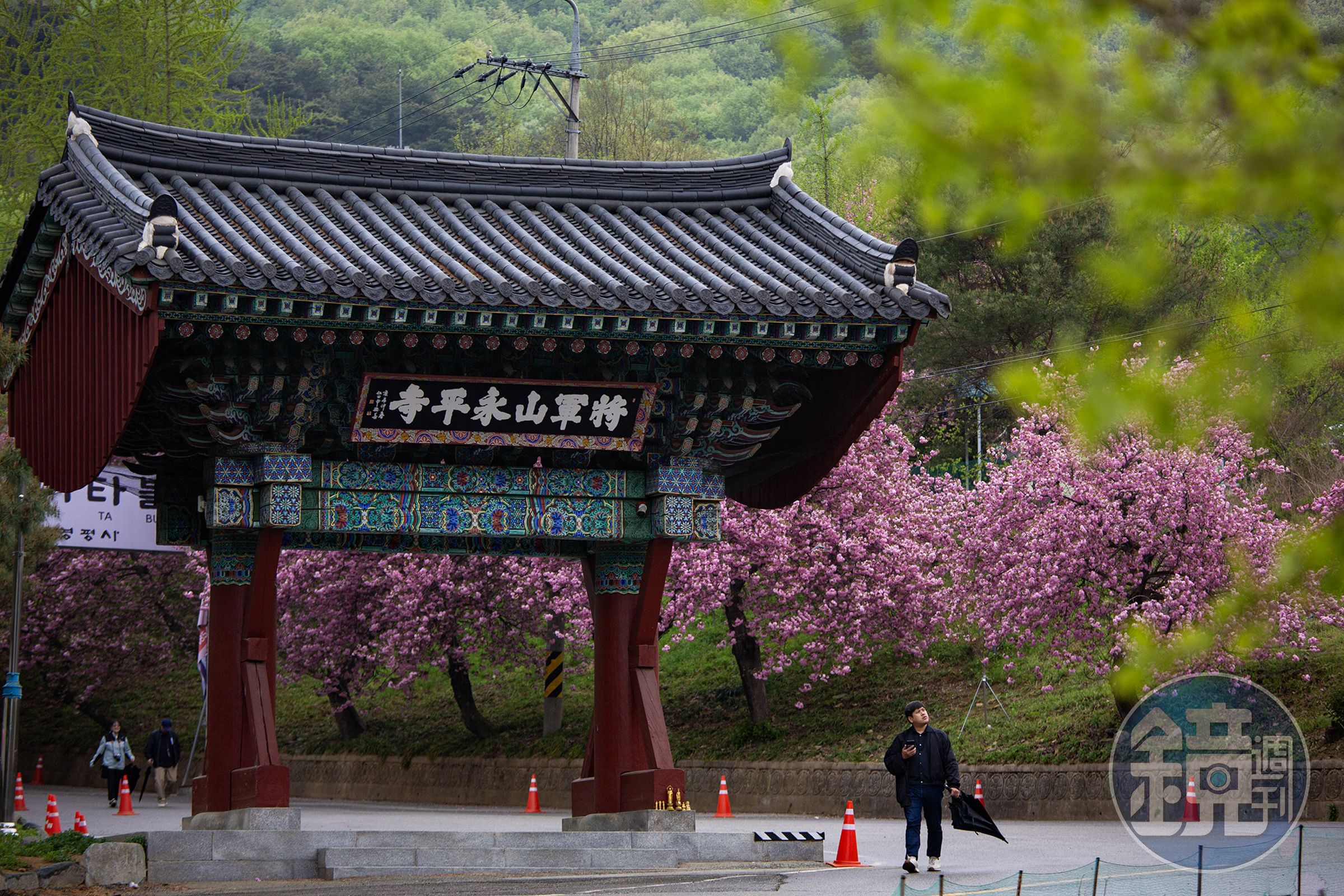 隱身將軍山下的永平寺，為現代城市保留一處難得的寧靜角落。