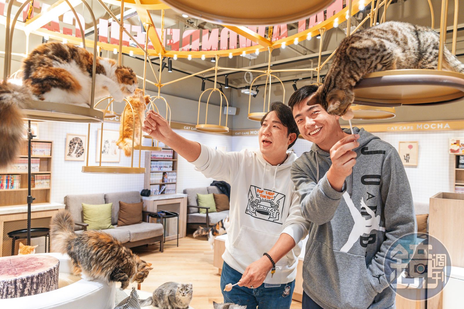 劉爾金（左）曾和熊爸（右）一起在貓咖啡，體驗被貓群熱情包圍的fu
