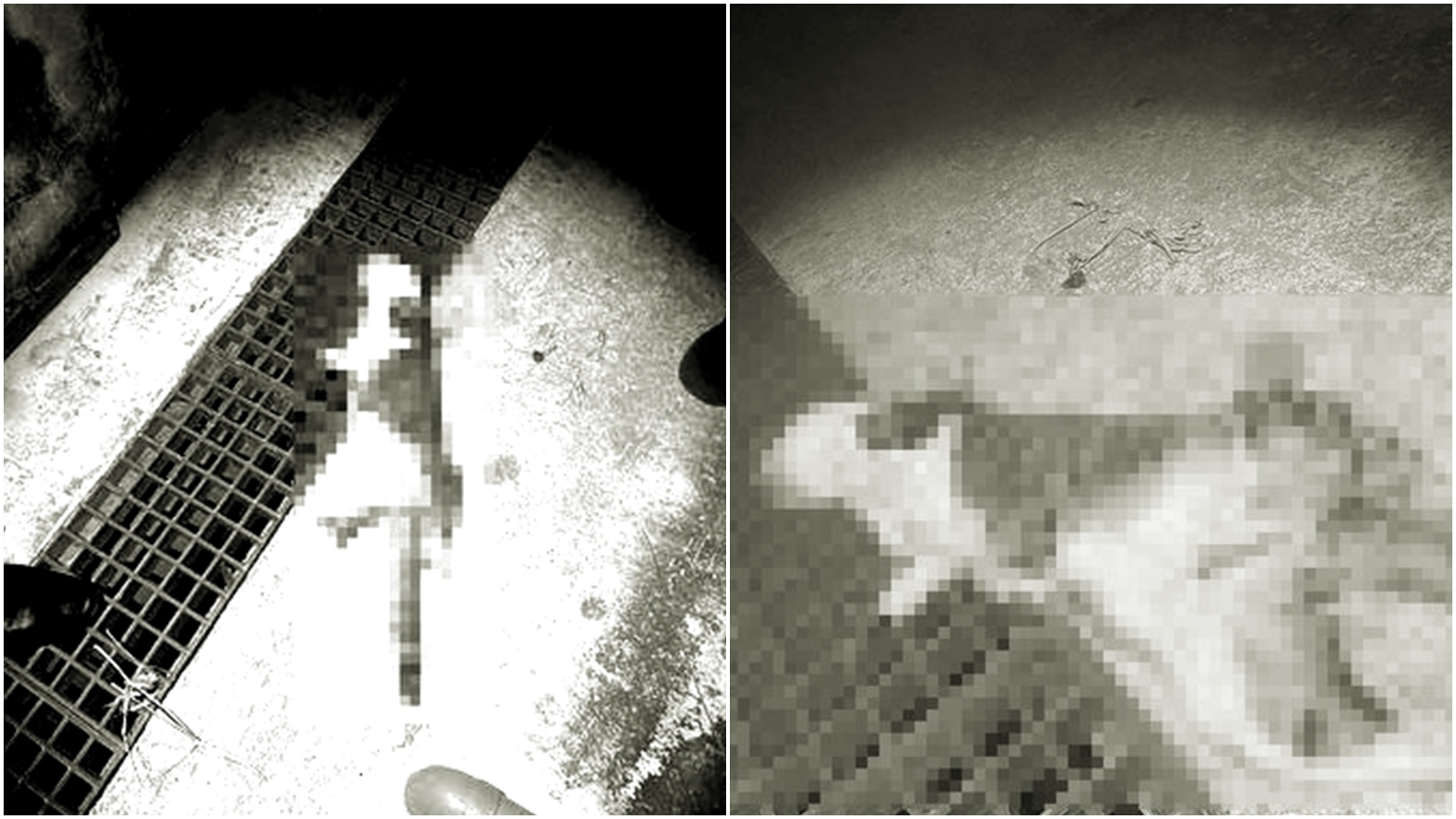 有民眾於台南發現1隻公貓死狀悽慘，貼文被轉發到多個社團引發關注。（翻攝畫面）