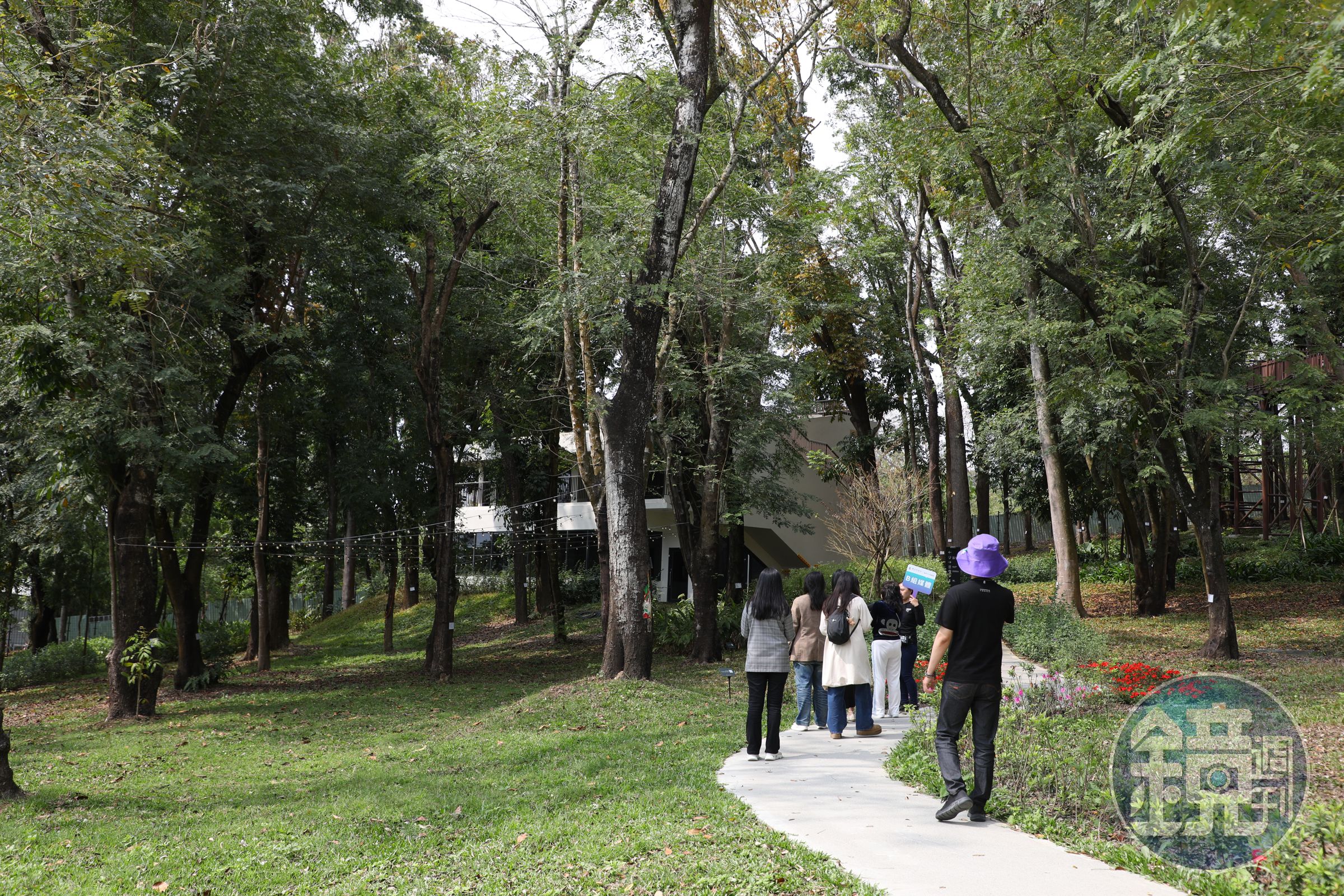 在開闢園區時,團隊順應九九峰礫岩地形規劃,保留了逾300株原生喬木。