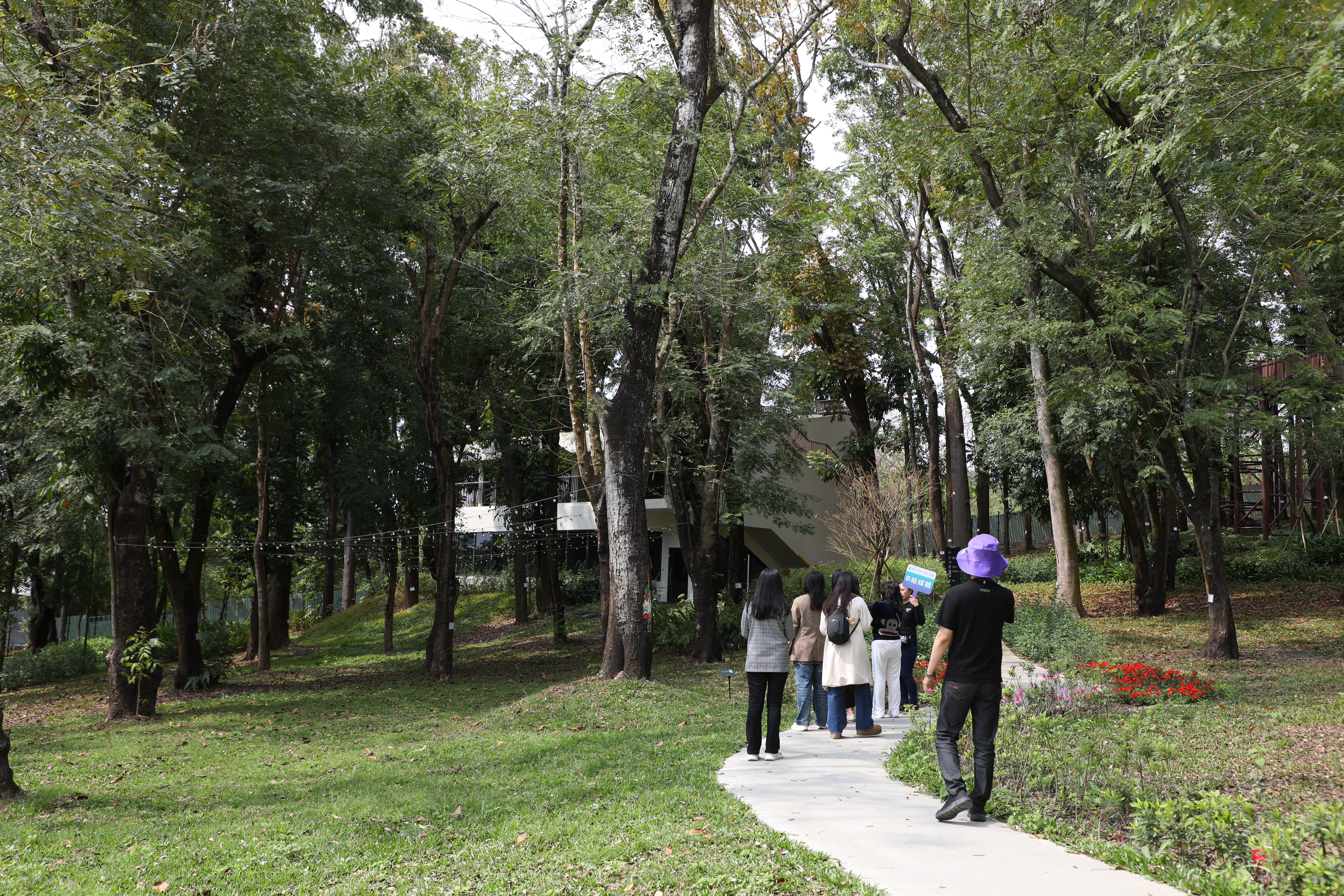 在開闢園區時，團隊順應九九峰礫岩地形規劃，保留了逾300株原生喬木。