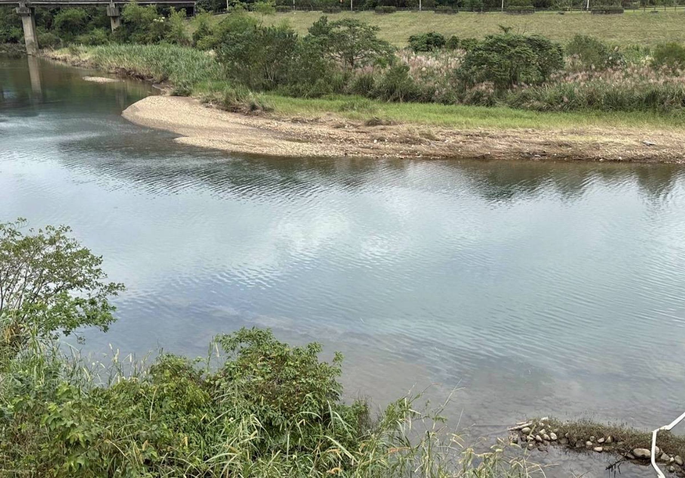 基隆河日前再次發現油污。(台水提供)