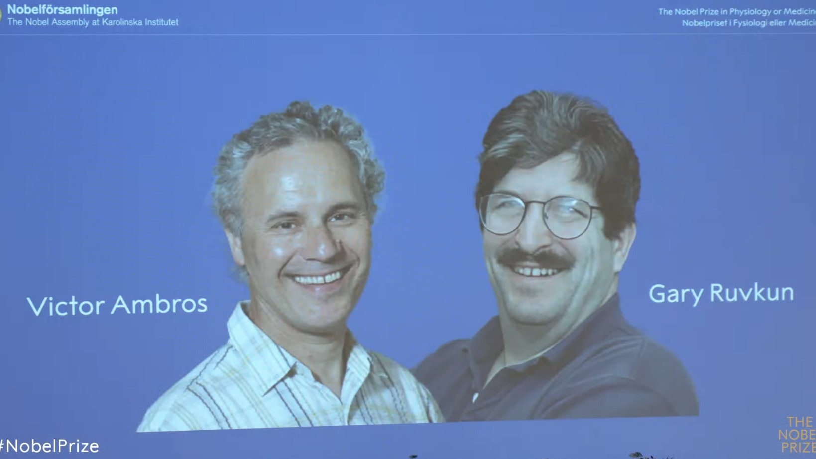 諾貝爾醫學獎由2名學者共享殊榮。（翻攝Nobel Prize直播）
