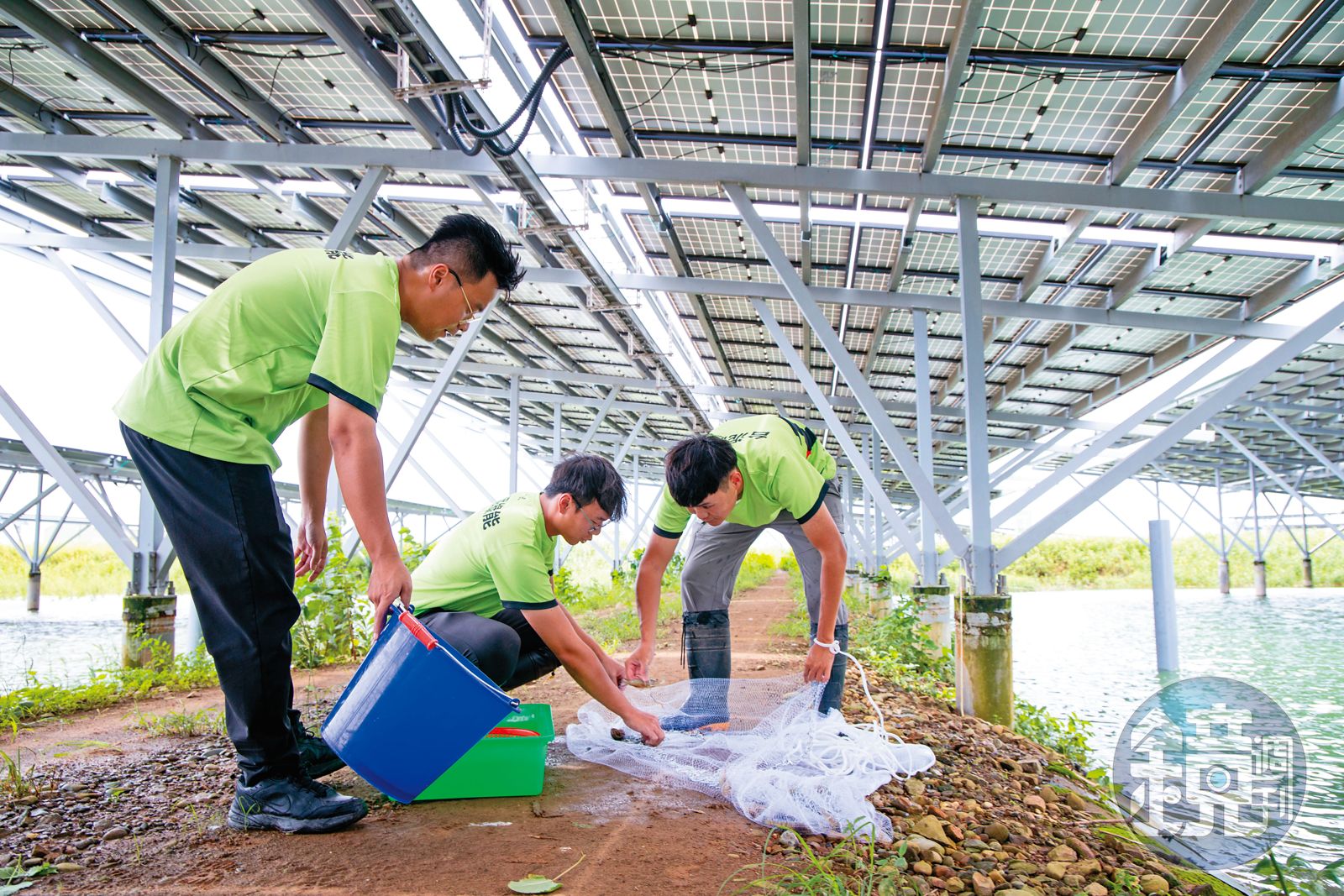 綠電蟑螂坑台泥1/「第一份工作就進警局」 漁電政策反讓愛魚青年陷官司