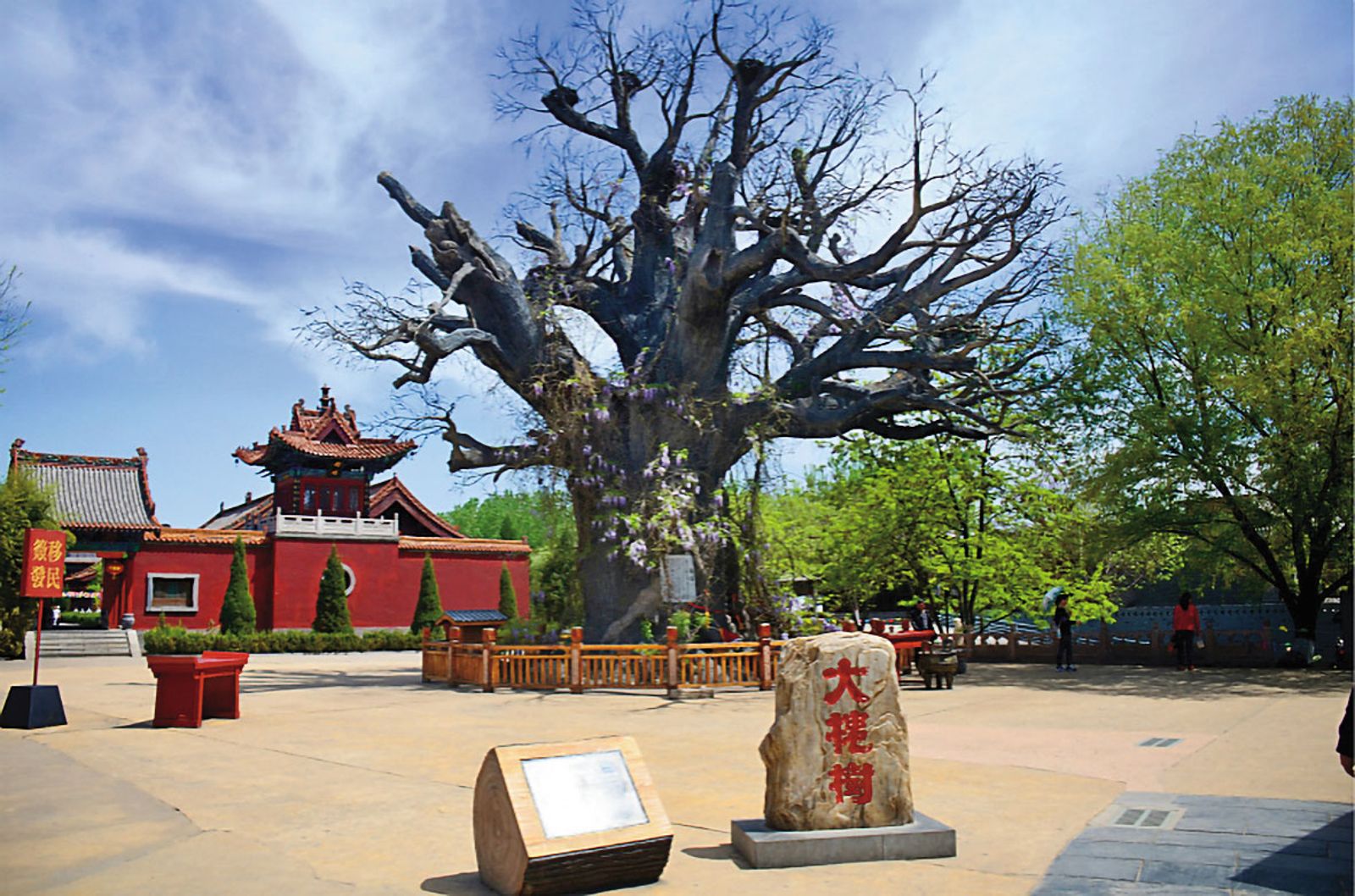 中國官媒宣稱「全球凡有華人的地方就有大槐樹移民的後裔」。(翻攝微信)