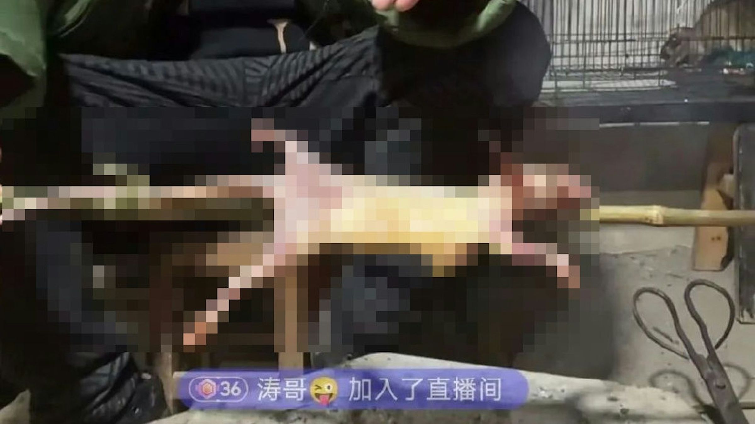 網友深怕不知不覺吃下老鼠肉。(翻自微博)