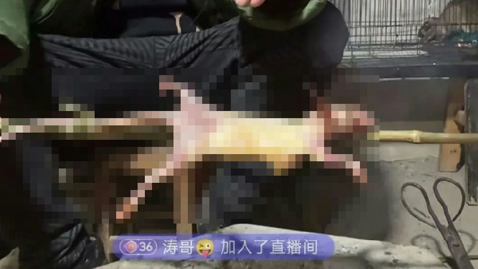 網友深怕不知不覺吃下老鼠肉。(翻自微博)