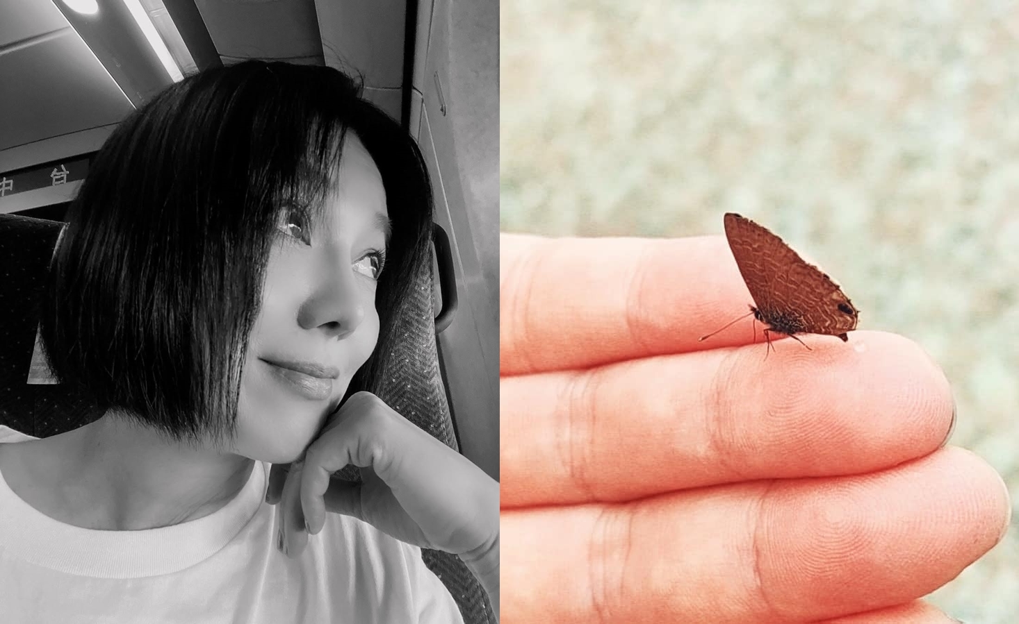 苗可麗發現，一隻蝴蝶在父親腳邊飛繞約20分鐘後停了下來，認為是媽媽回來了。（翻攝自苗可麗IG和臉書）