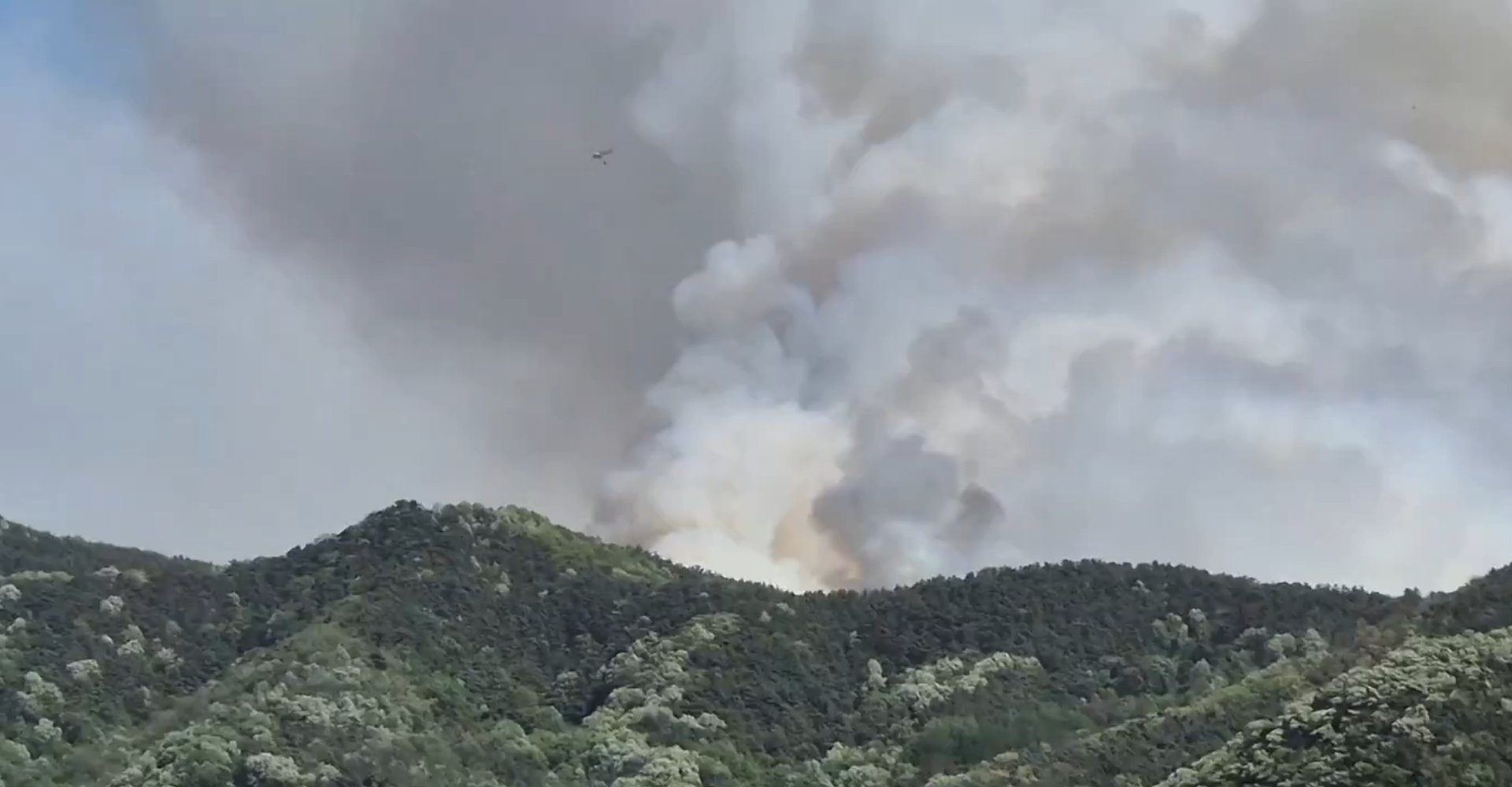 南韓大邱山林大火，遠處可見濃煙。（翻攝X）