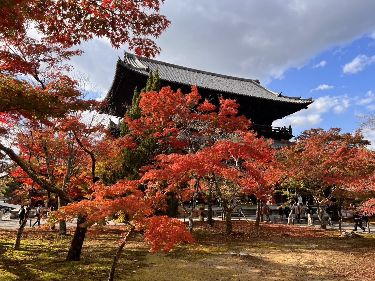 在各國市場中,南韓與台灣皆創下歷年11月的最佳紀錄,美國遊客數也首度在年累計中突破300萬人大關。