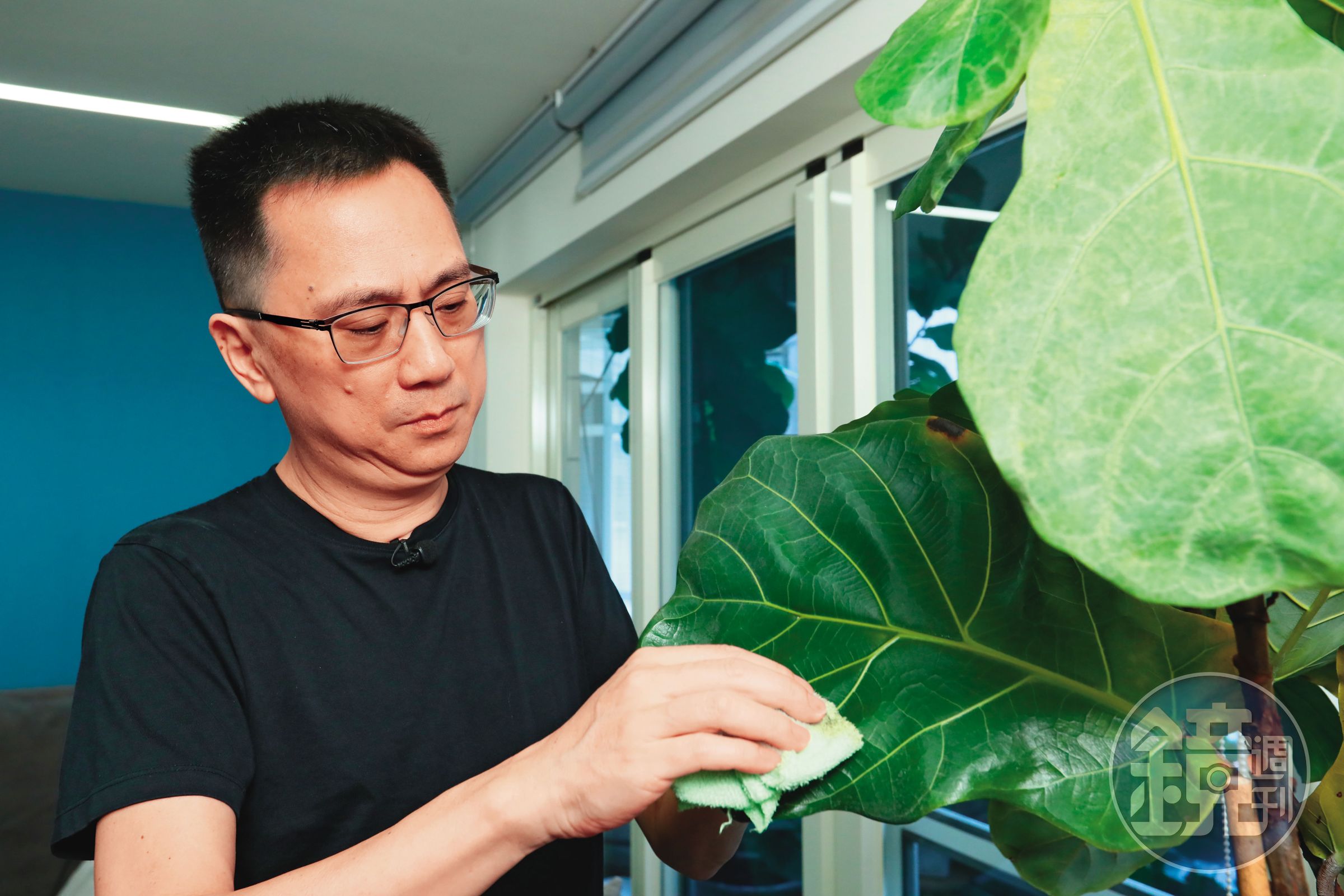 財位擺設琴葉榕，陳延昶壓力大時，會拿毛巾擦拭葉片，讓心靈平靜。