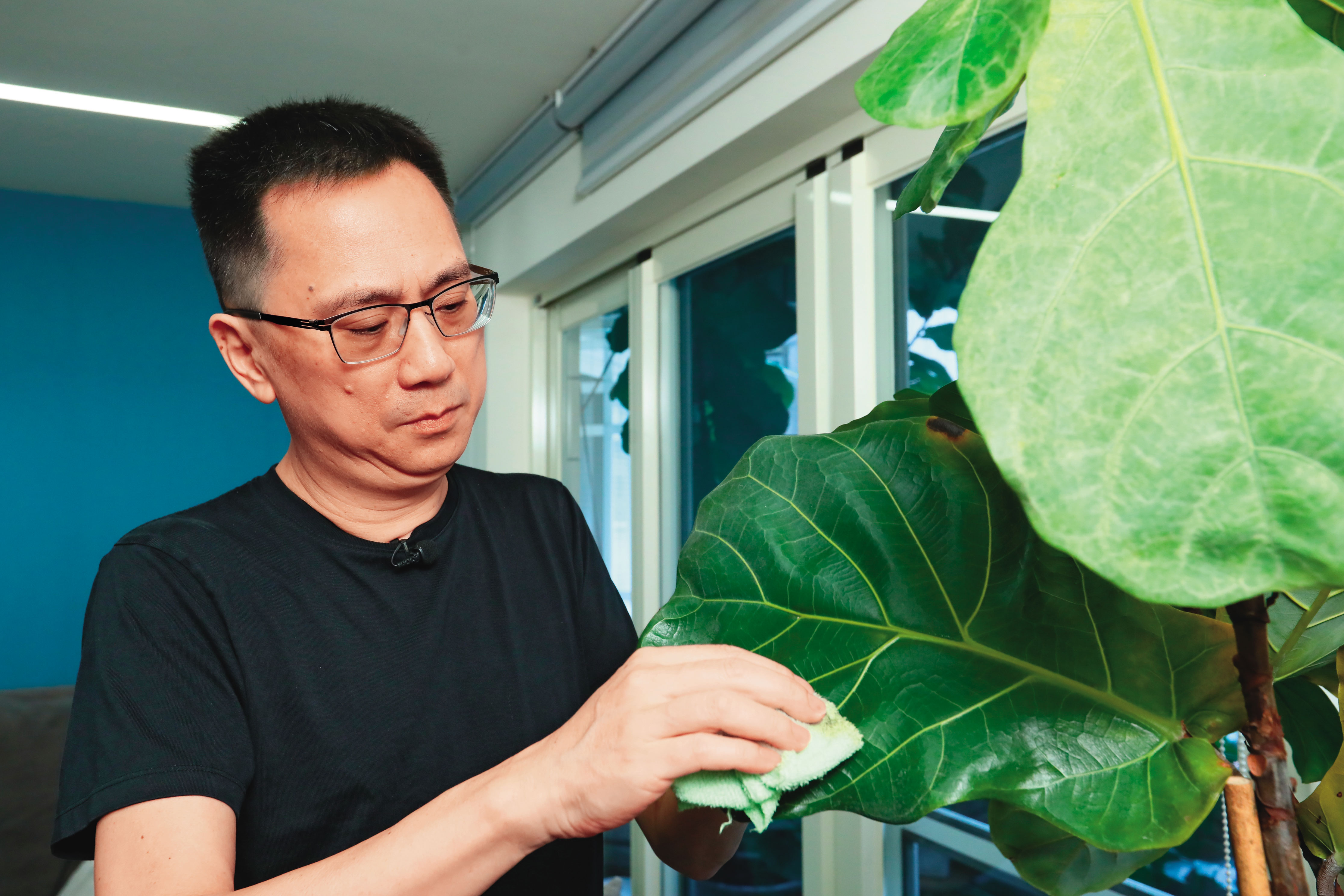 財位擺設琴葉榕，陳延昶壓力大時，會拿毛巾擦拭葉片，讓心靈平靜。