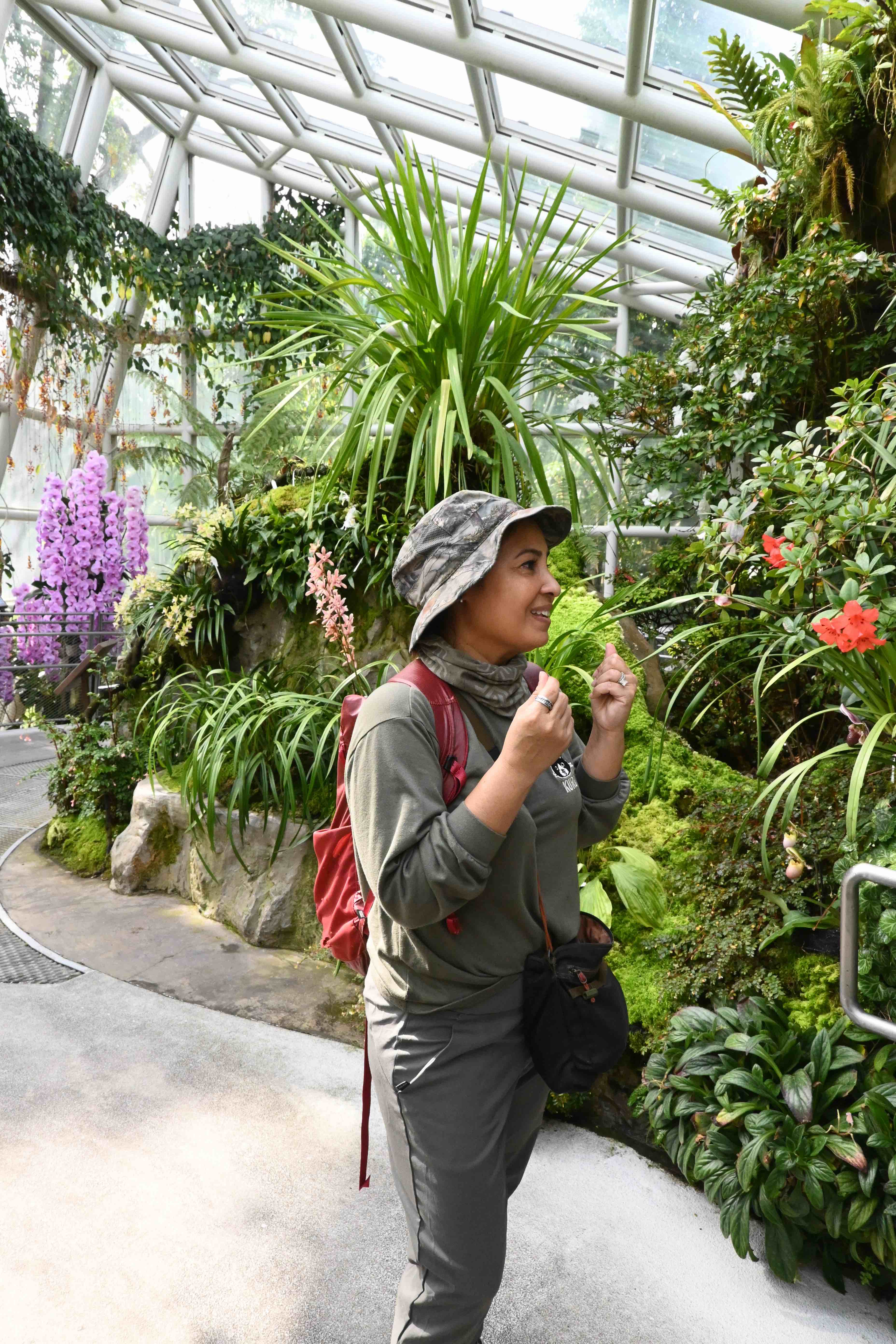 Sembcorp Cool House溫室裡收藏超過1,000種蘭花及雜交品種,還能看到食蟲植物與秋海棠。