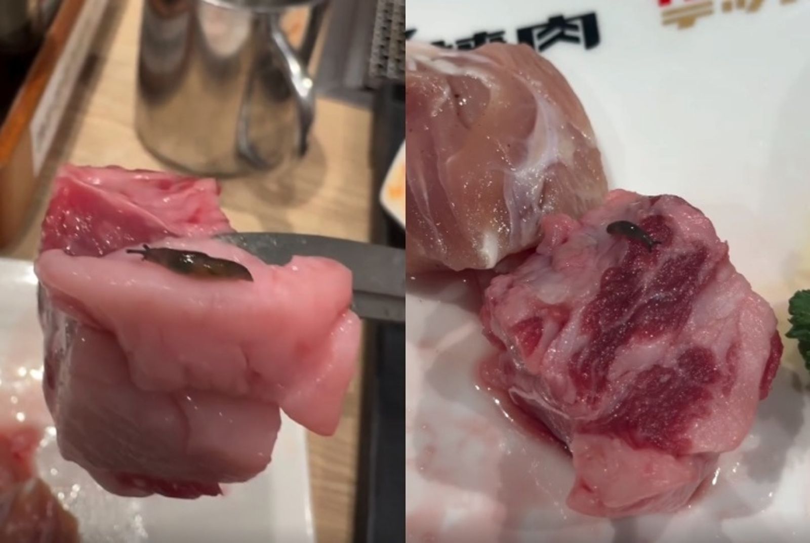 北車連鎖燒肉店驚見「活蛞蝓在生肉上爬」 店員竟淡定吐1句...網嚇壞:會出人命