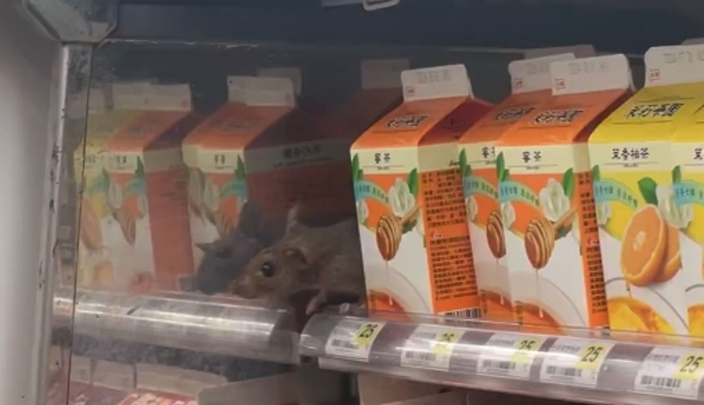 一名網友今天一早就在7-11北捷門市看到「大米奇」橫行商品架。(翻攝自threads @j_h1024)