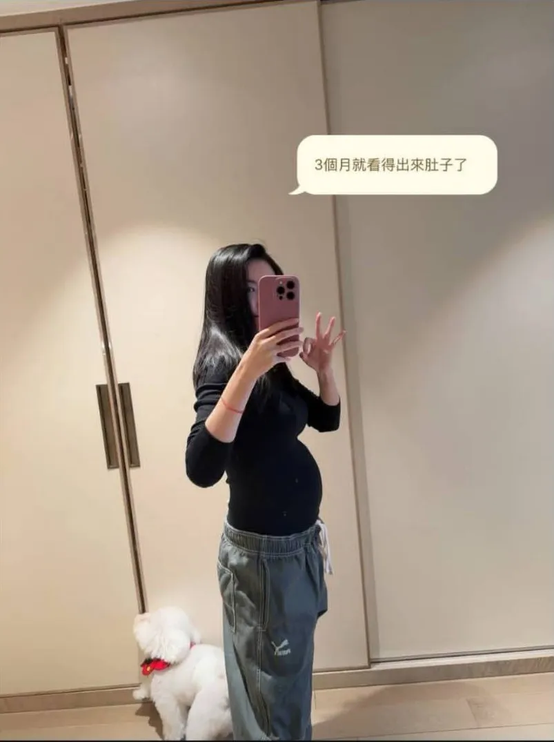 愷樂分享懷孕近況。（IG）