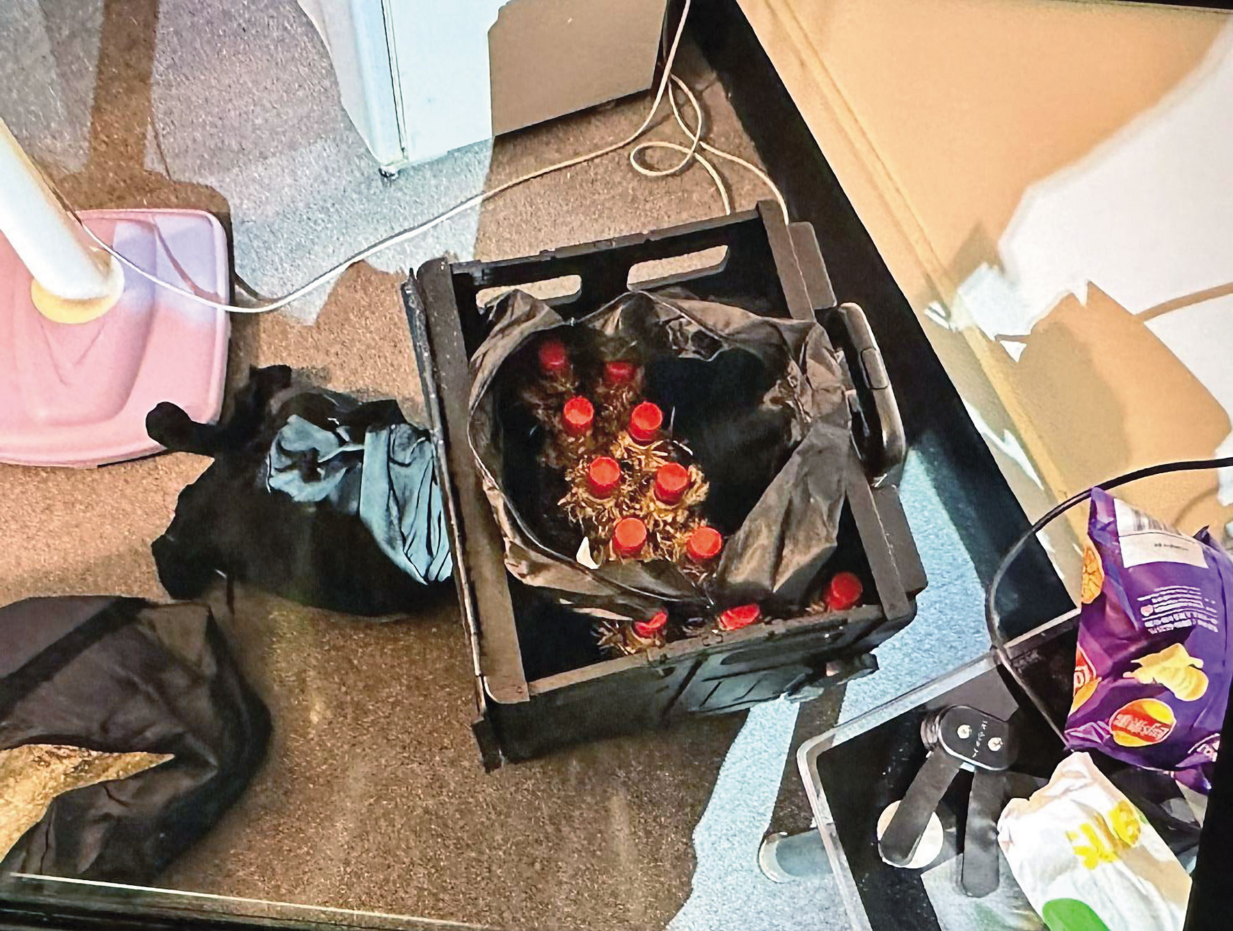 警方在張文藏匿的旅館房間內，起出大量未使用的汽油彈。（北市警局提供）