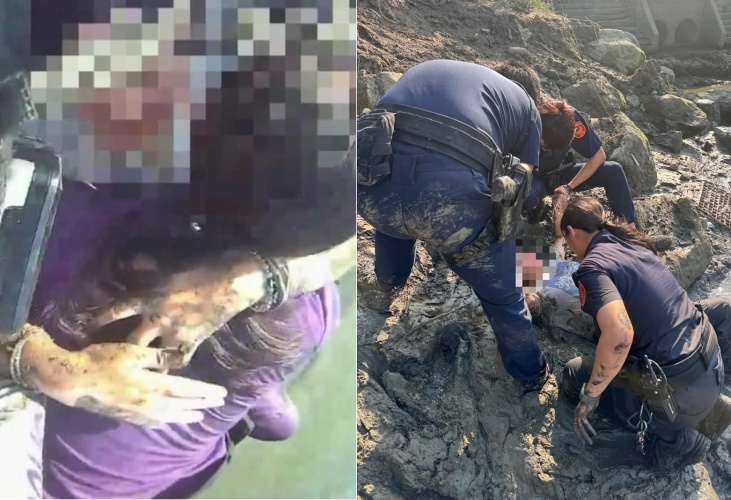 由於事發斜坡滿是泥濘，埔墘派出所警員林純卉奮不奮身跳入水中，與現場同仁協力將林姓女子安全拉回岸上。（翻攝畫面）