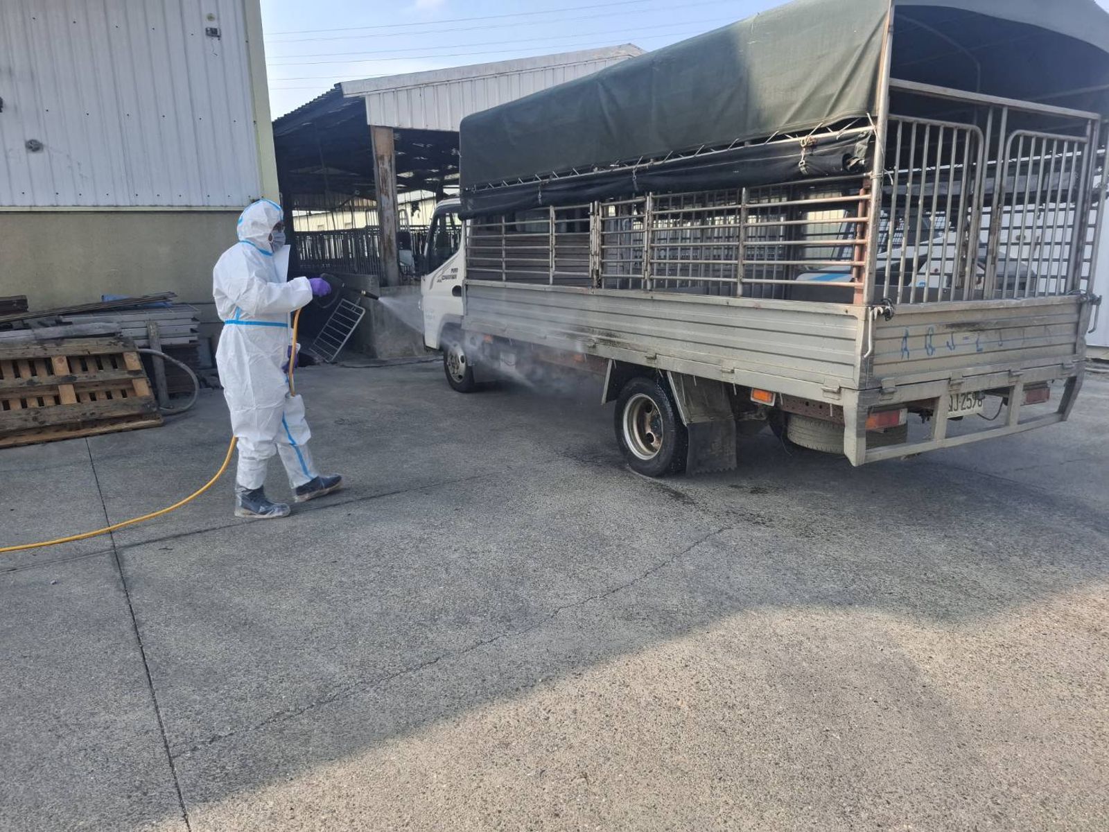 豬農違規「偷載13頭母豬」被抓包 黃偉哲震怒!市府重罰35萬