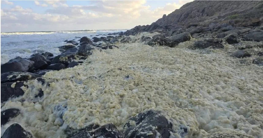 南澳州2海灘日前出現大量黃色不明泡沫，並有許多死魚以及海馬屍體，該地遊客也出現身體不適。（翻攝自X）