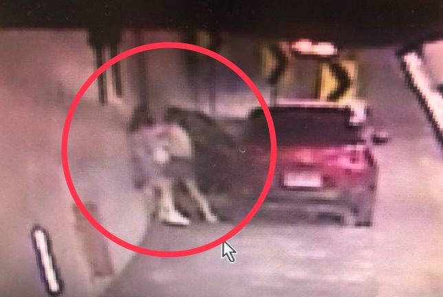 昨日下午，一對母女在雪山隧道內爆發激烈衝突。（翻攝畫面）