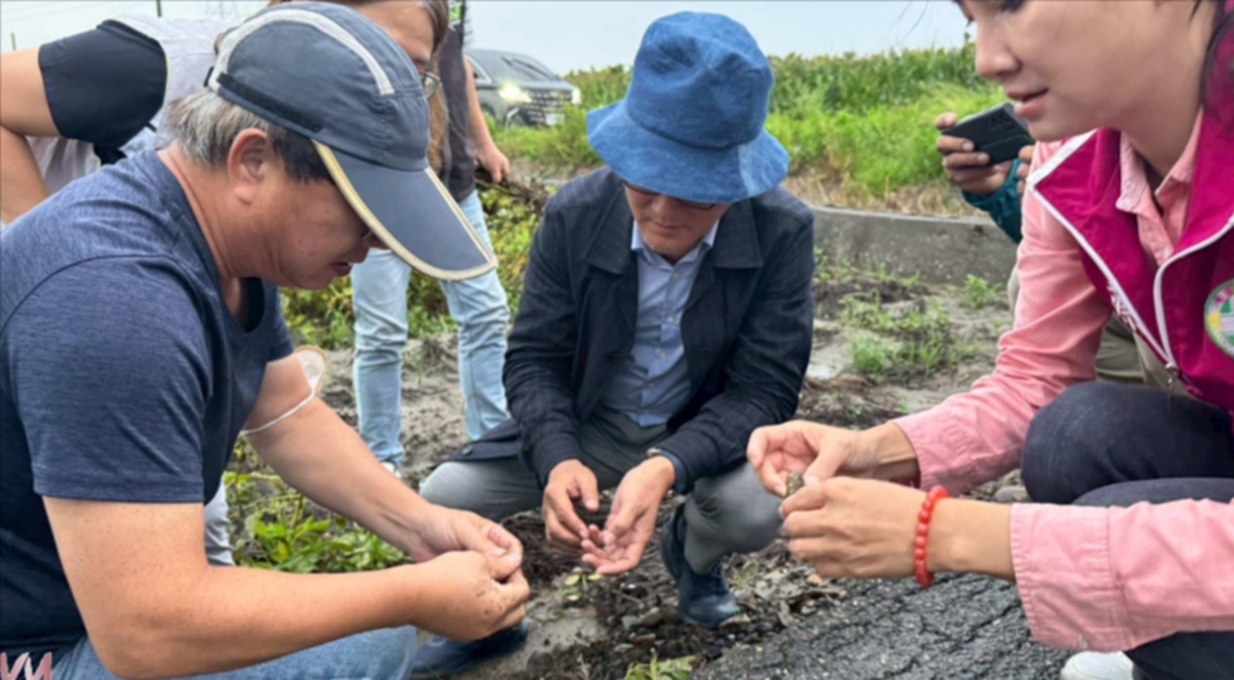 劉建國爭取花生災損救助，農業部公告雲林全縣納入救助，每公頃提高至3.6萬元。