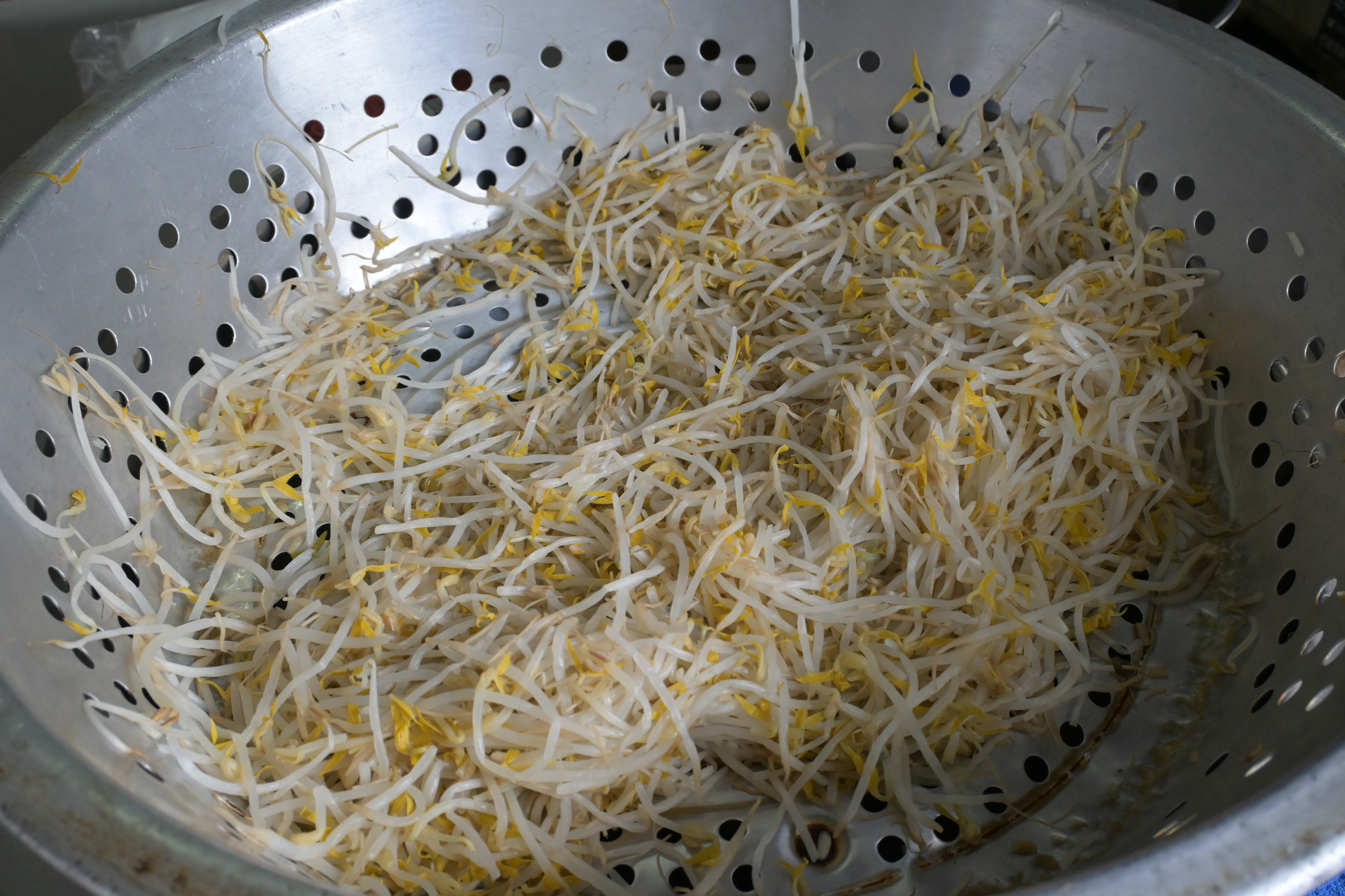 既然叫做豆菜麵,清爽的豆芽菜亦是主角。
