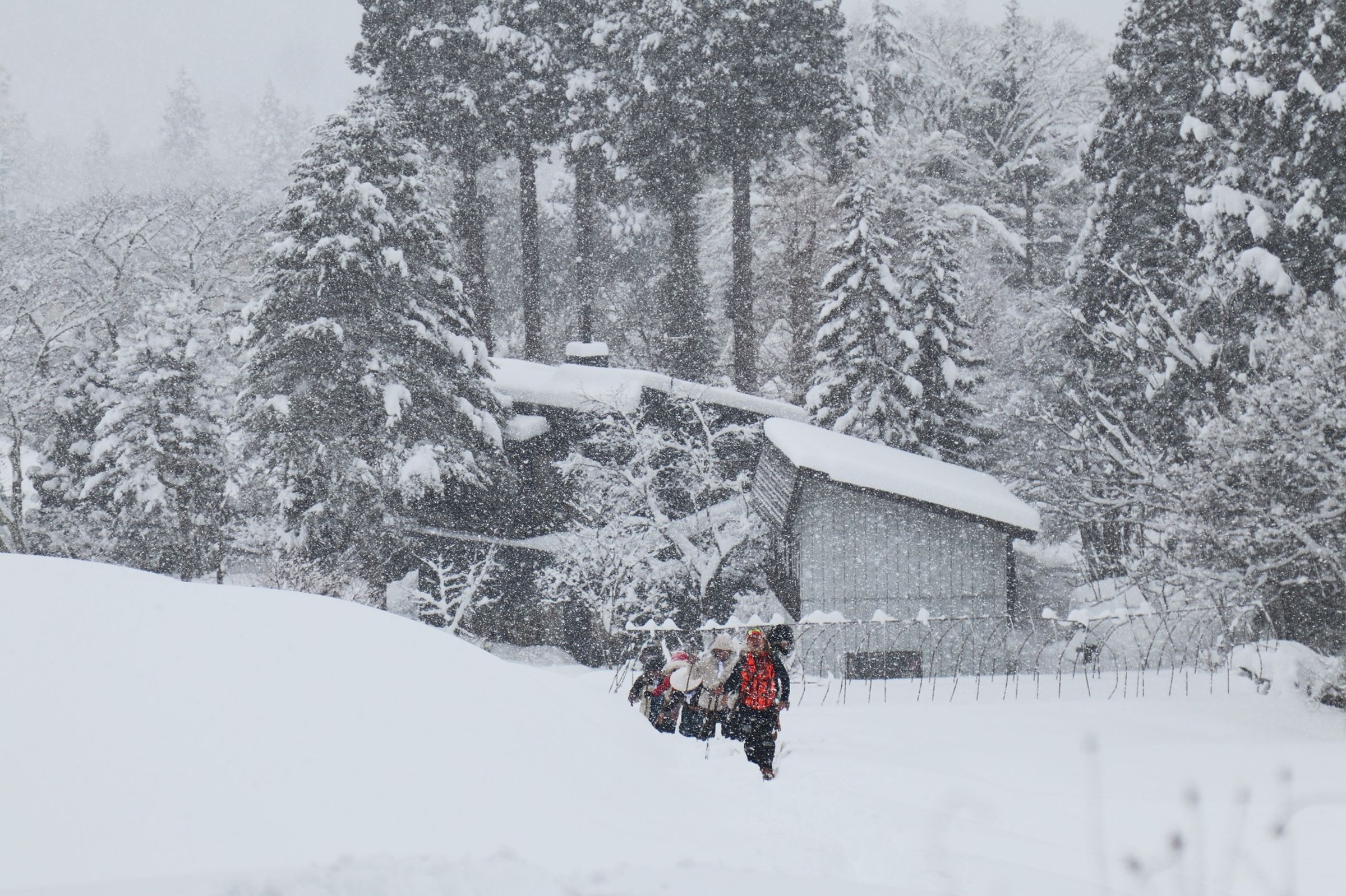《老少女奇遇記2》赴日本秋田取景時遇到大雪。(桂田文創提供)