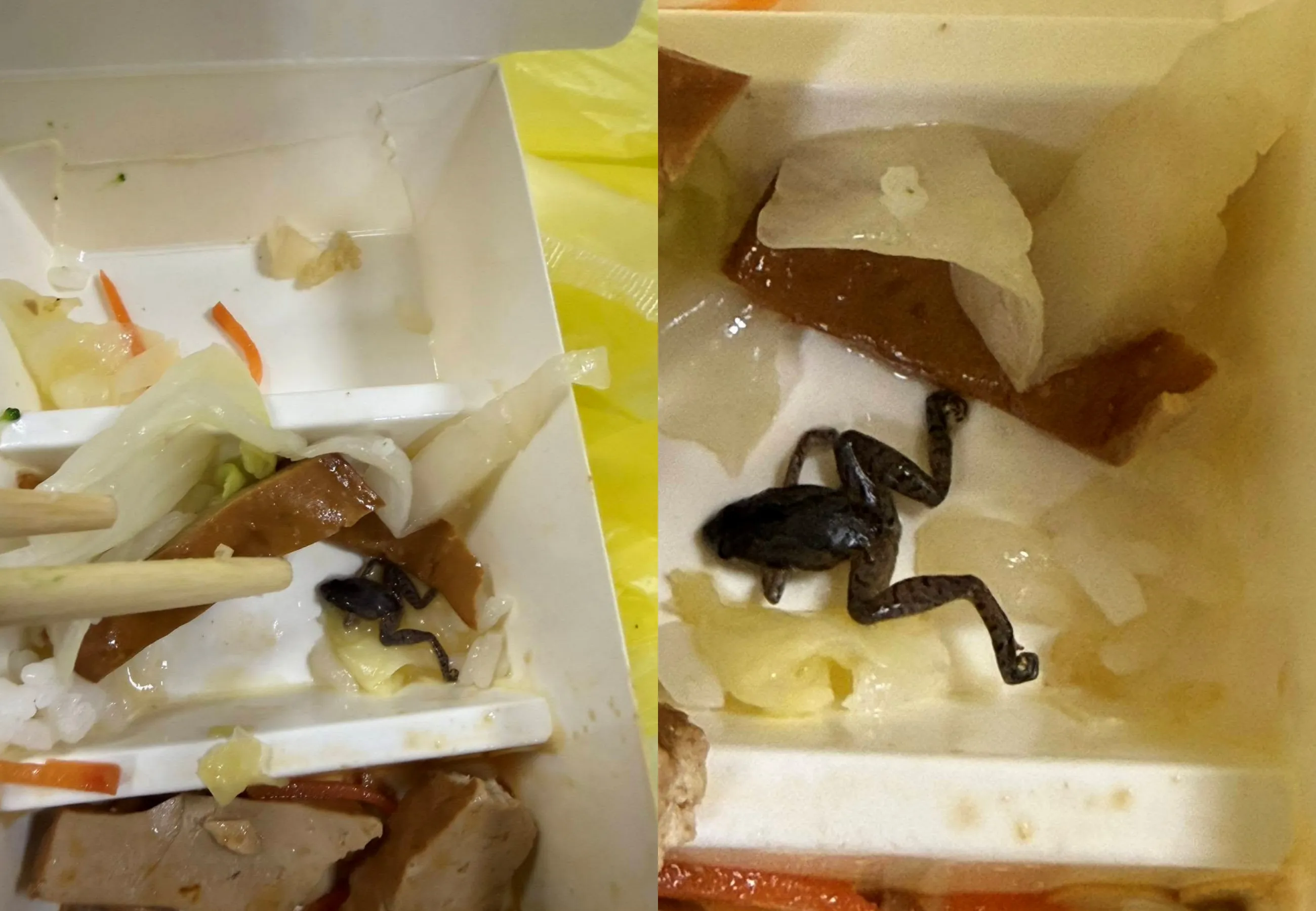 便當吃到一半驚見「青蛙」！客人打電話問店家　竟遭回：那是木耳