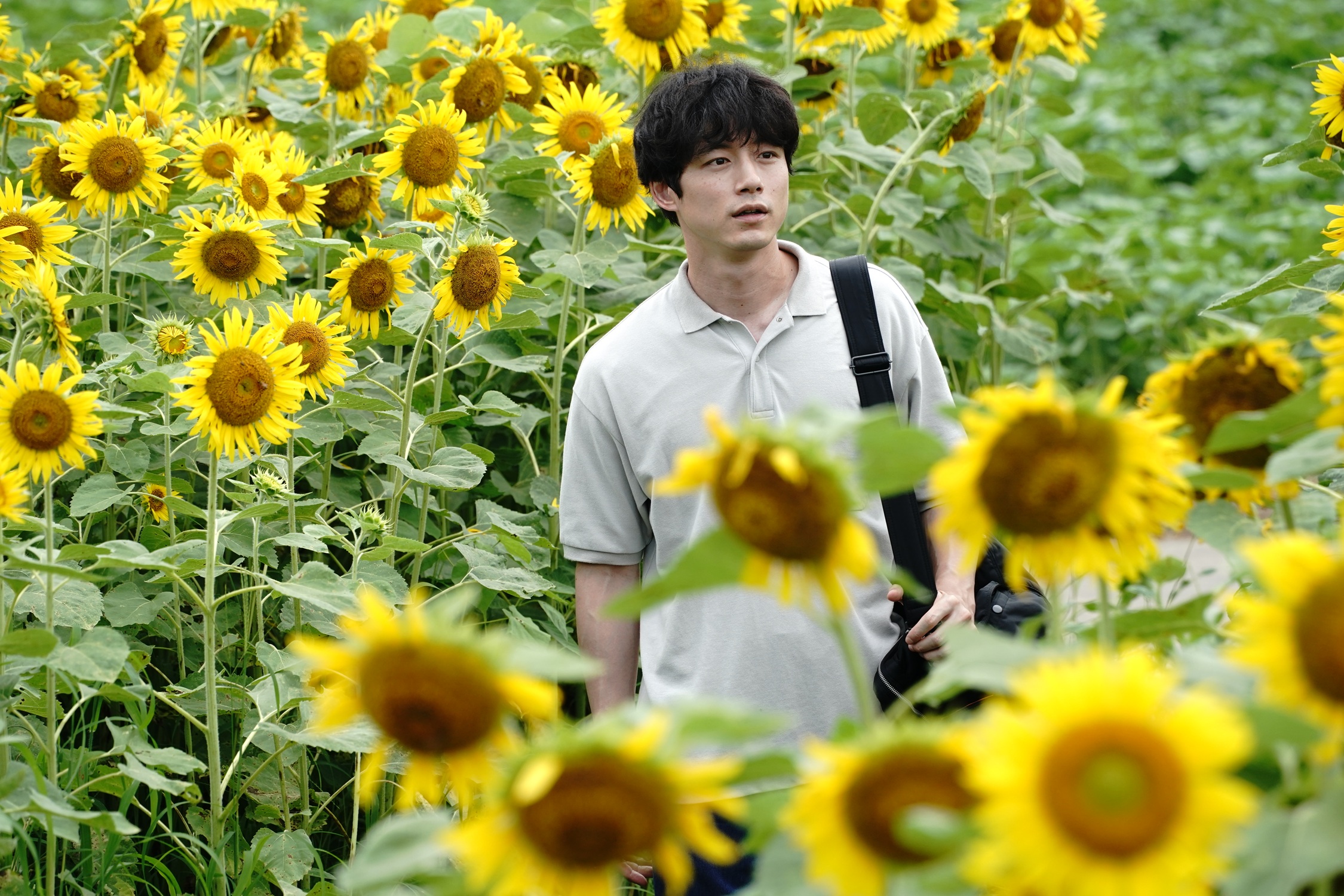 坂口健太郎近日涉及劈腿風波，傳出後天釜山影展原定出席新片首映臨時取消。（翻攝盤上的向日葵 X）