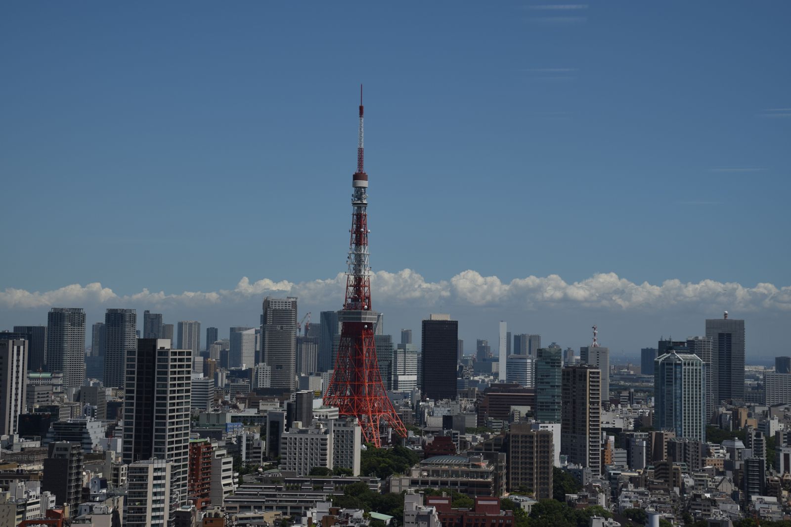 547人確診!日本麻疹創6年新高 東京:疑訪日外國旅客成病毒來源