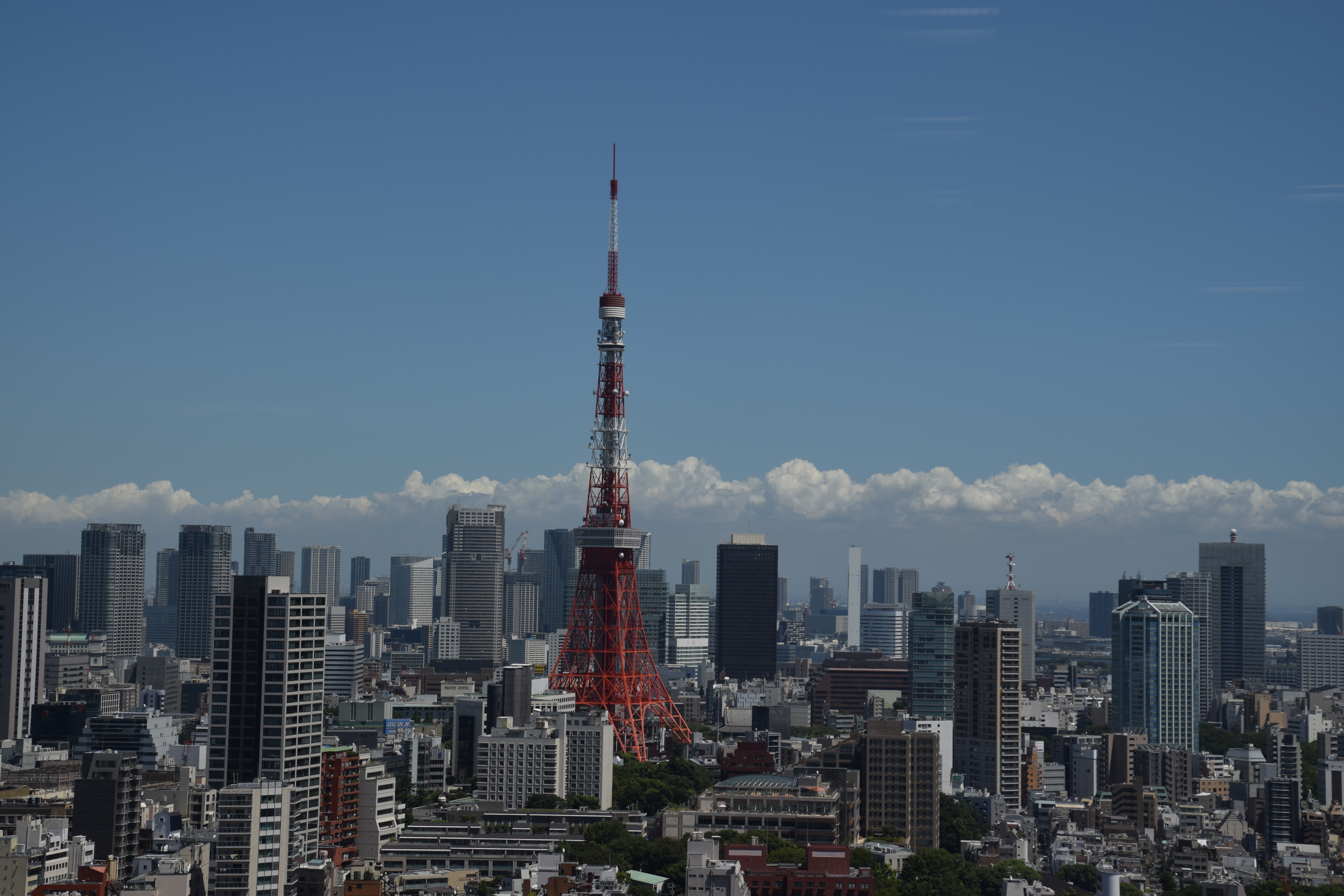 日本今年爆發麻疹疫情,感染人數已突破500例,其中東京都病例占近半數;示意圖。(pixabay/Image by Little MiMi)