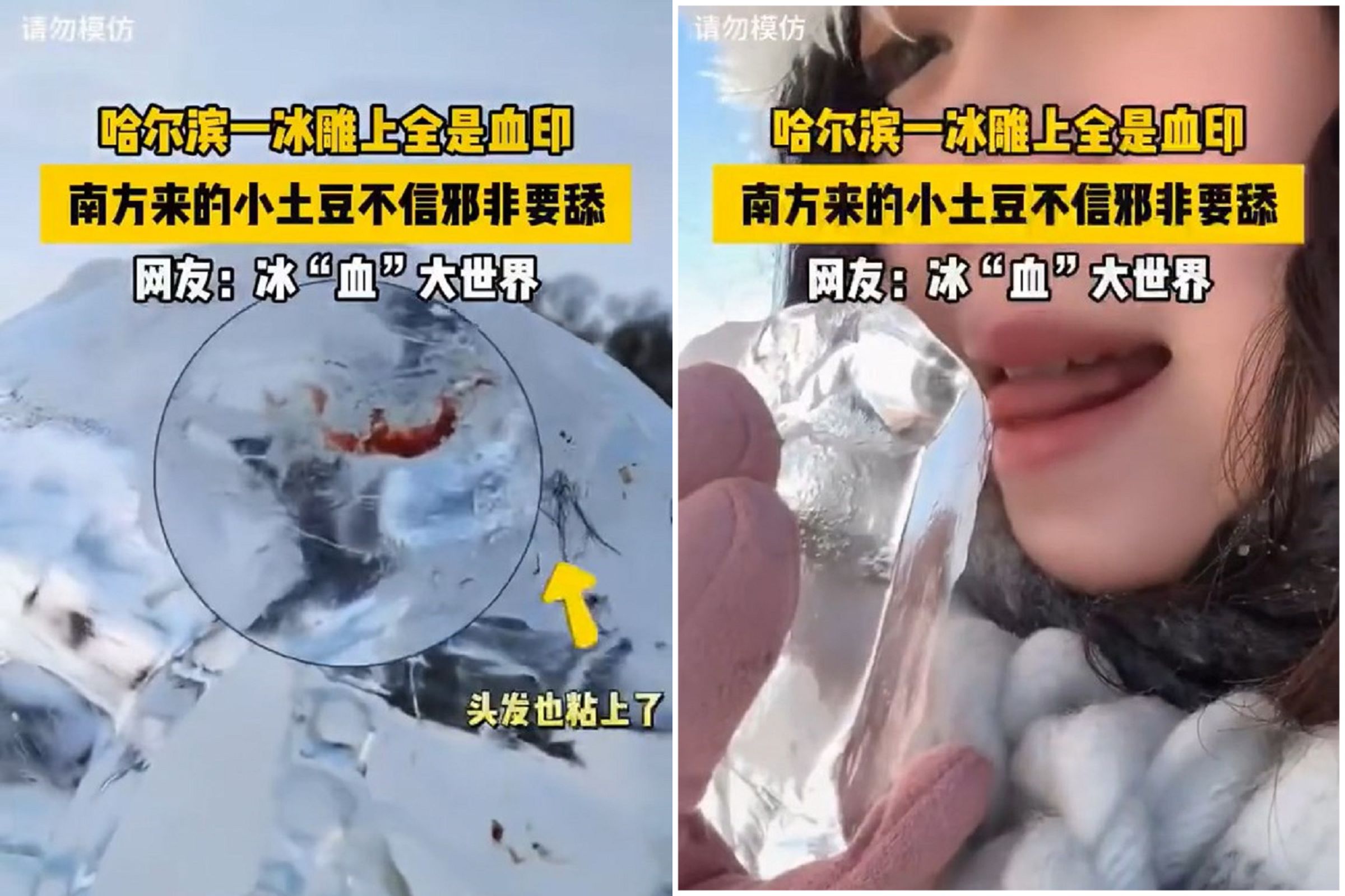 哈爾濱冰雕都是血跡,原因讓人驚呆!竟是妹子們舔到濺血。(翻自抖音)
