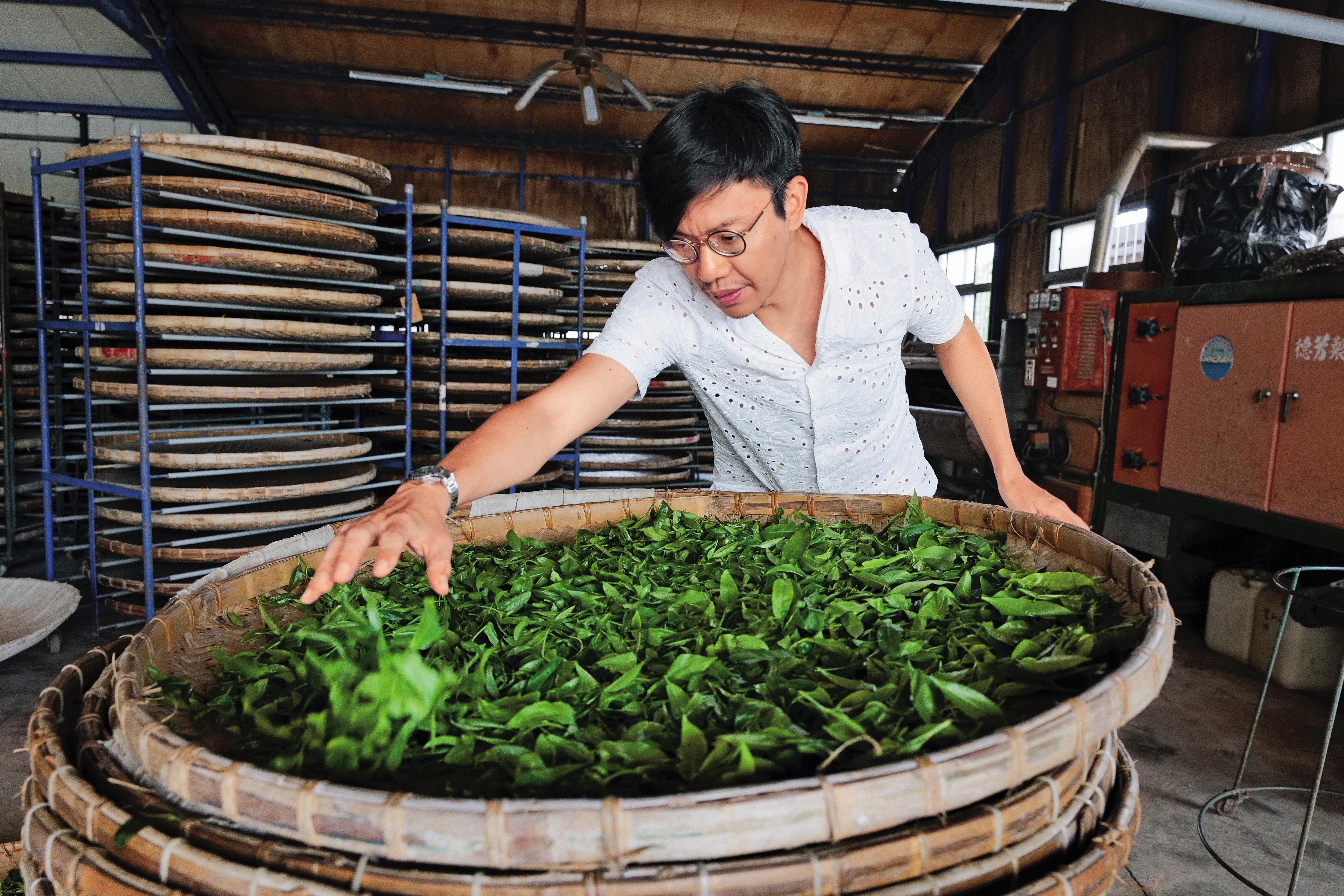 常行深賣茶,更親自製茶。