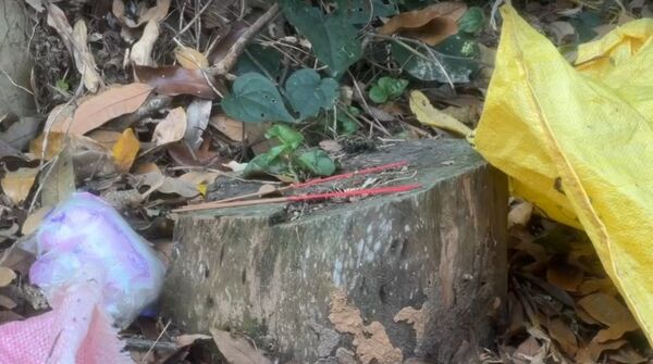 彰化員林百果山登山步道附近發生命案，因鄰近俗稱「待人坑」的區域，引發外界對地點歷史與案件背景的關注。而死者的命案現場也發現被遺留的3柱香。（翻攝畫面）