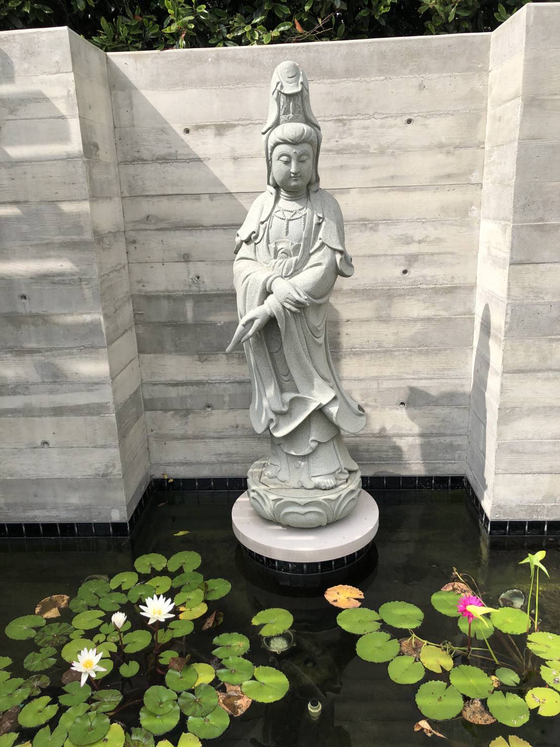 吳宇森家中的觀音菩薩像是鎮宅之寶，所幸還安好，但原本綠油油的荷葉如今已枯黃。（倪有純提供）