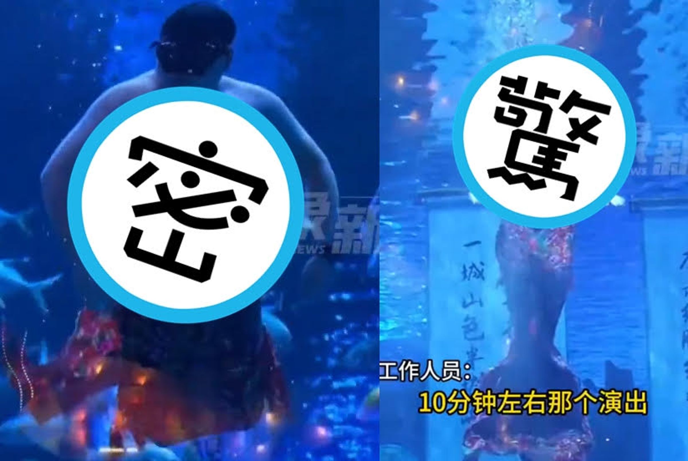 山東一間水族館出現胖大叔表演美人魚，強烈的反差讓不少觀眾傻眼。（翻攝微博）